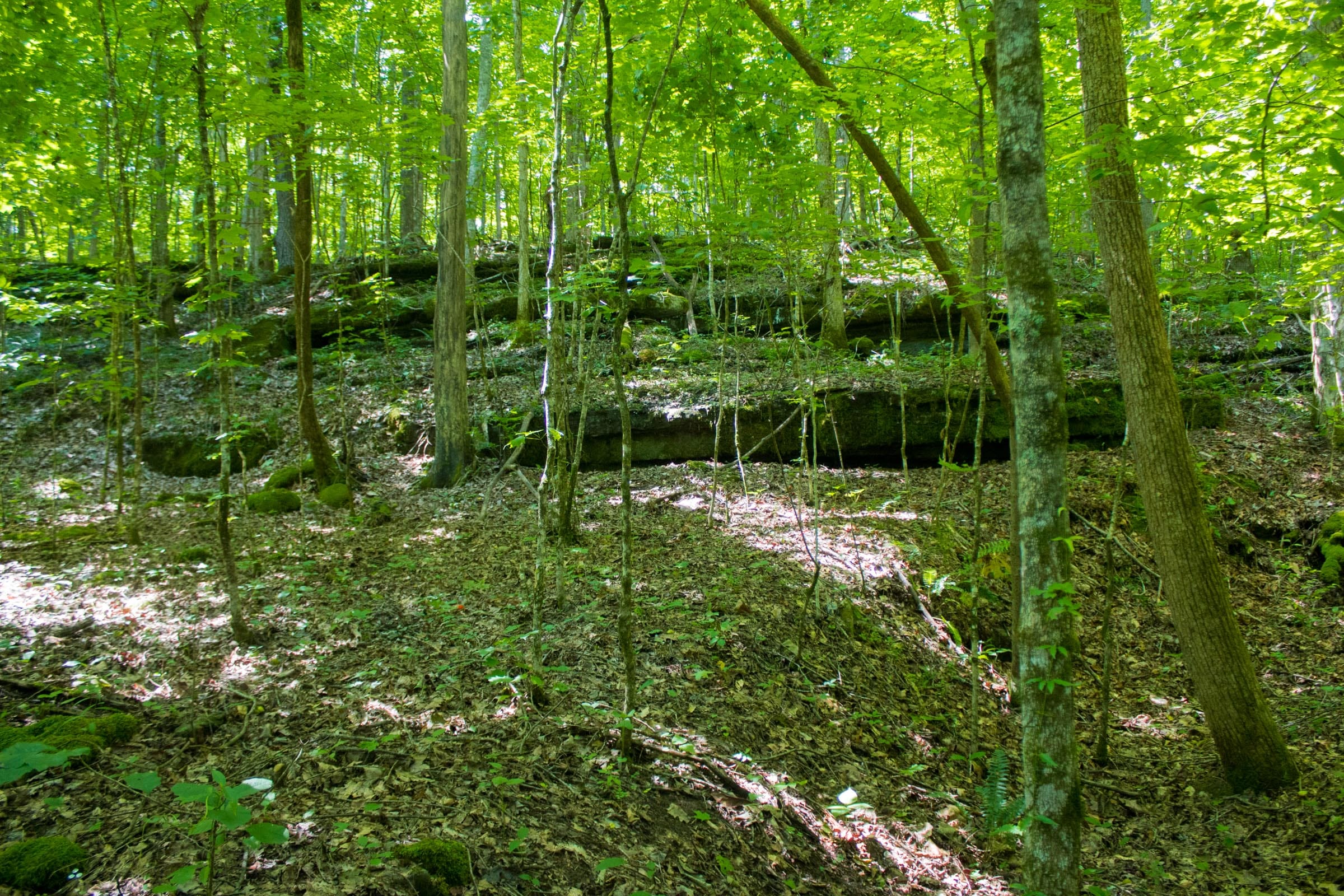 Bluewater Ridge Tract 8 photo 4
