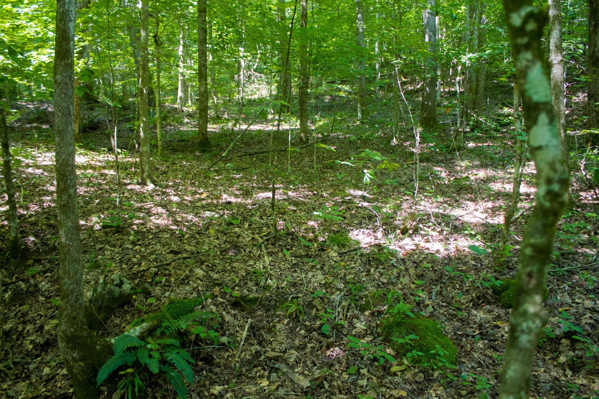 Bluewater Ridge Tract 8 photo 5