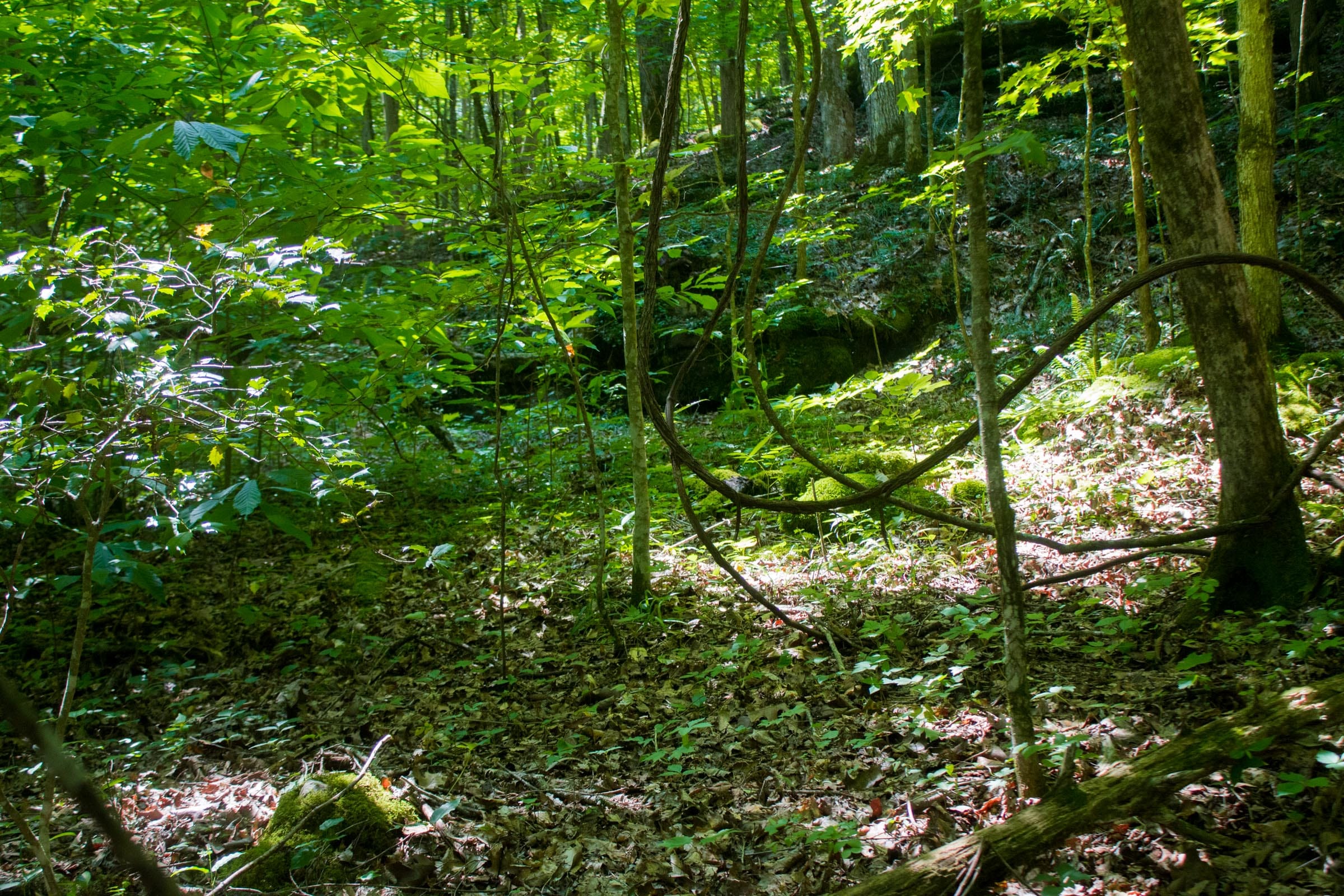 Bluewater Ridge Tract 8 photo 7