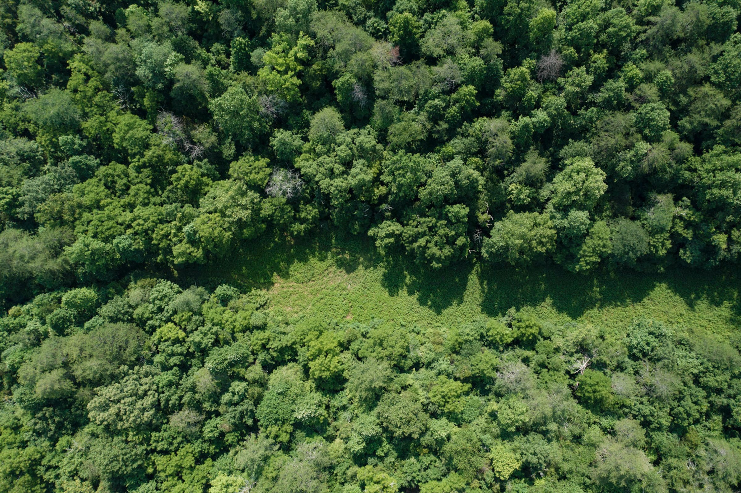 Rolling Hills Tract 26 photo 11
