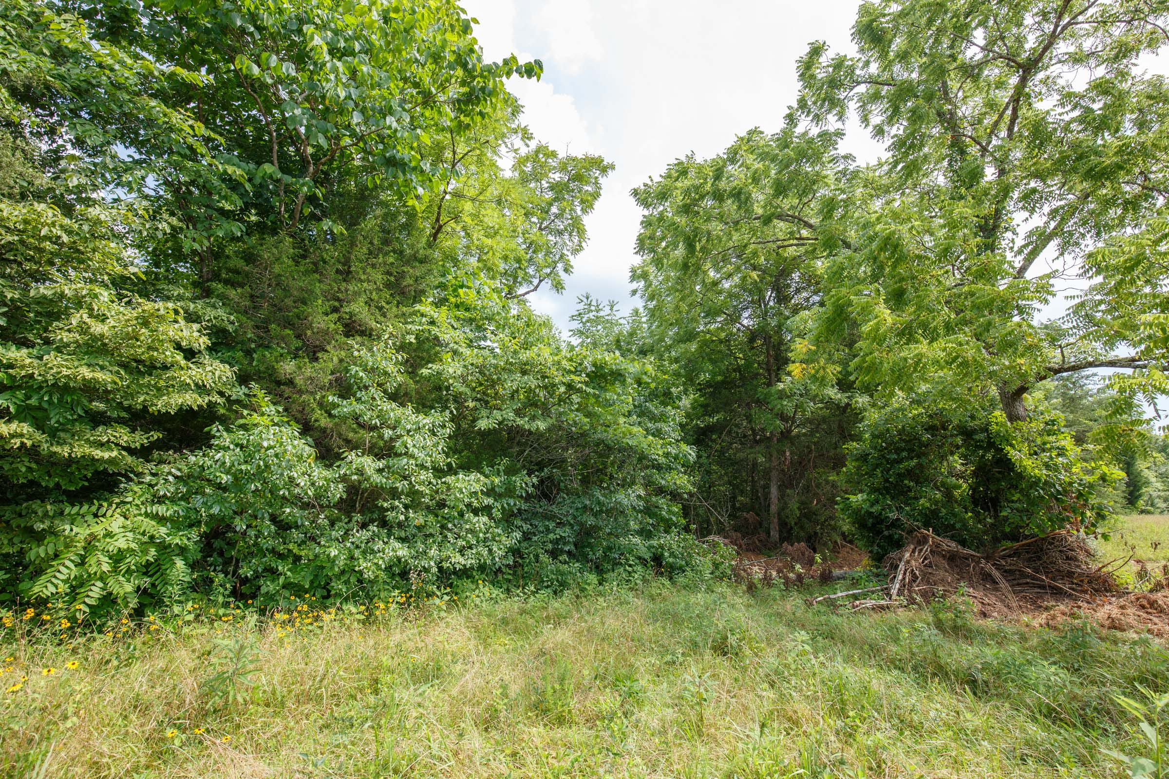 Rolling Hills Tract 26 photo 5