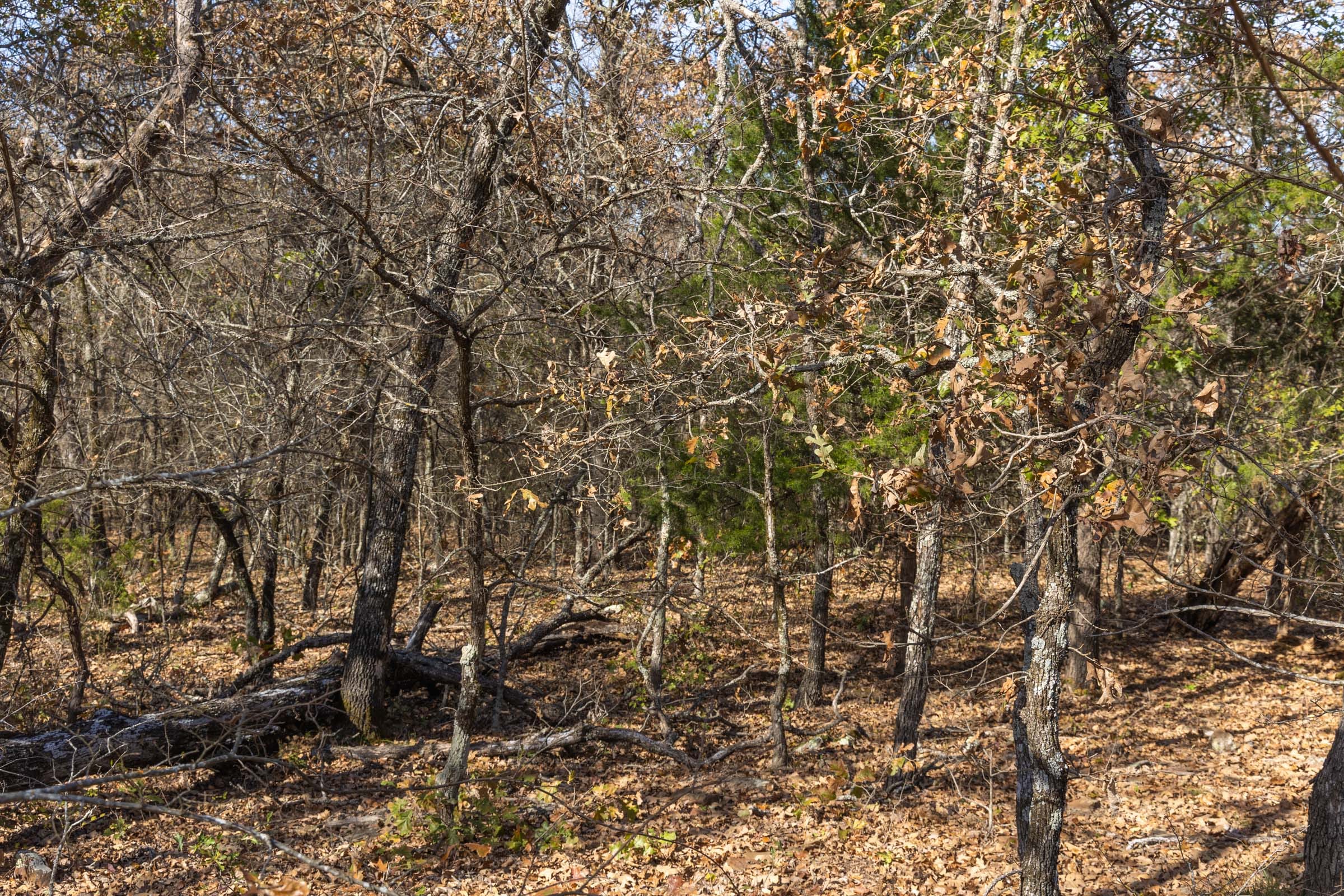 Harmony Hills Tract 45 photo 8