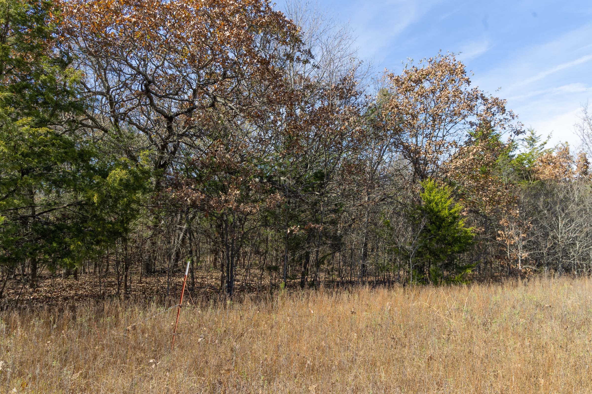 Harmony Hills Tract 45 photo 3