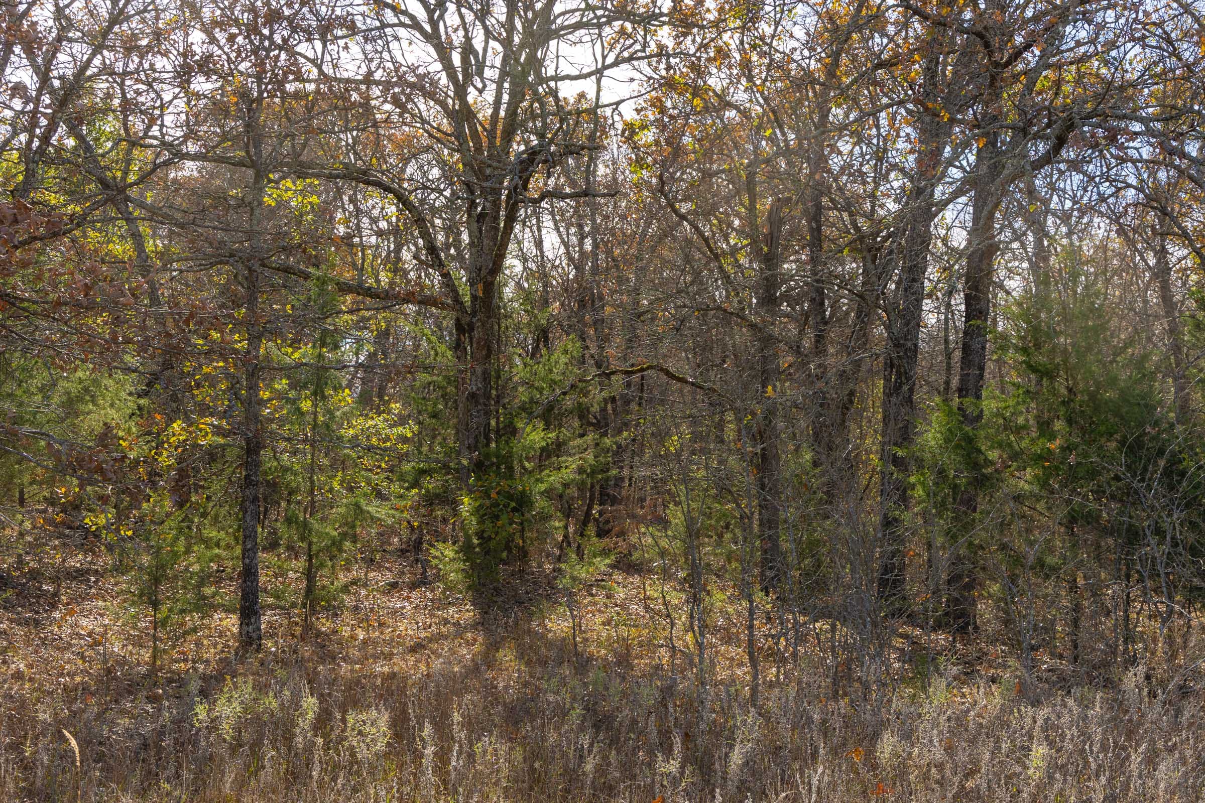 Harmony Hills Tract 45 photo 5
