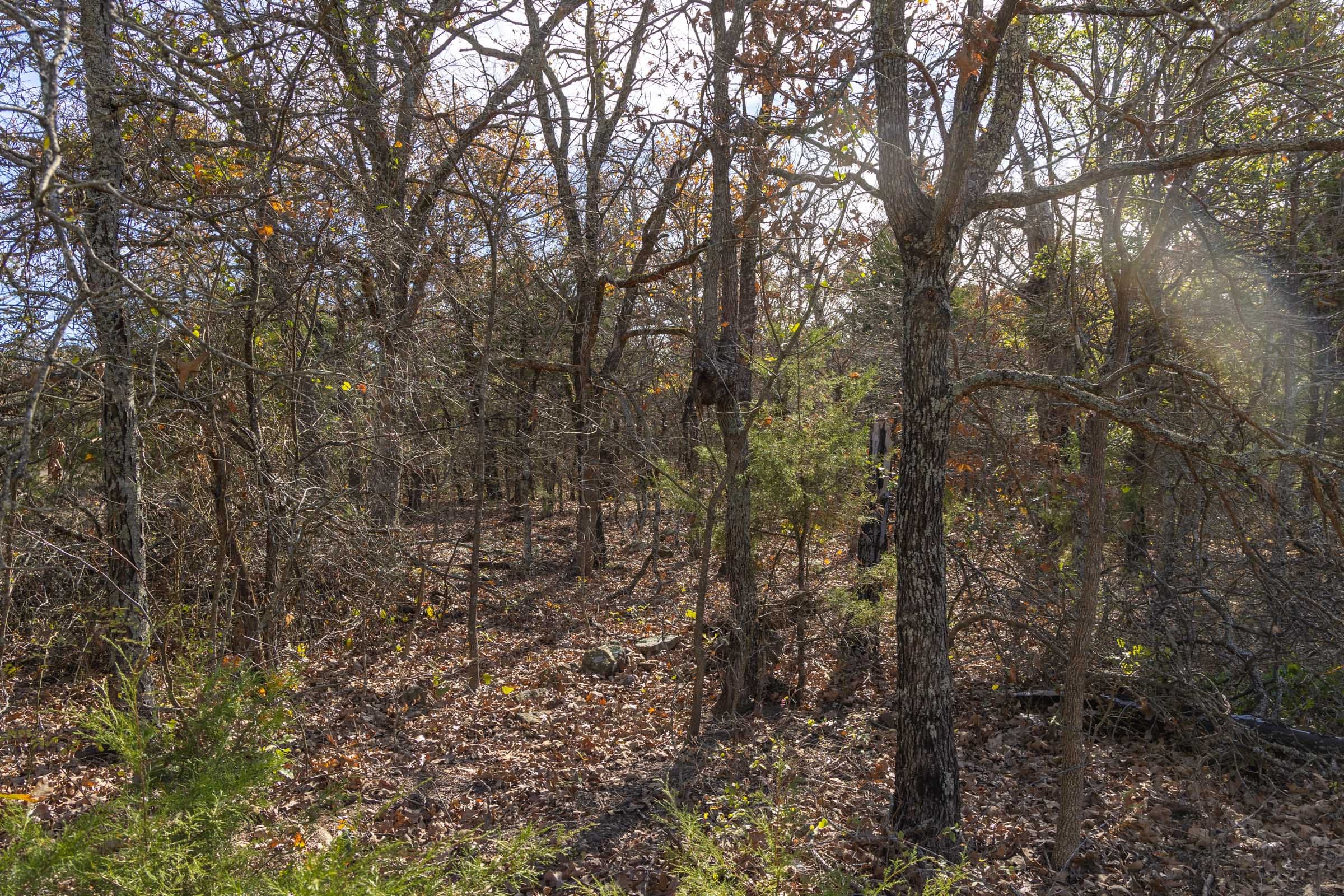 Harmony Hills Tract 45 photo 4