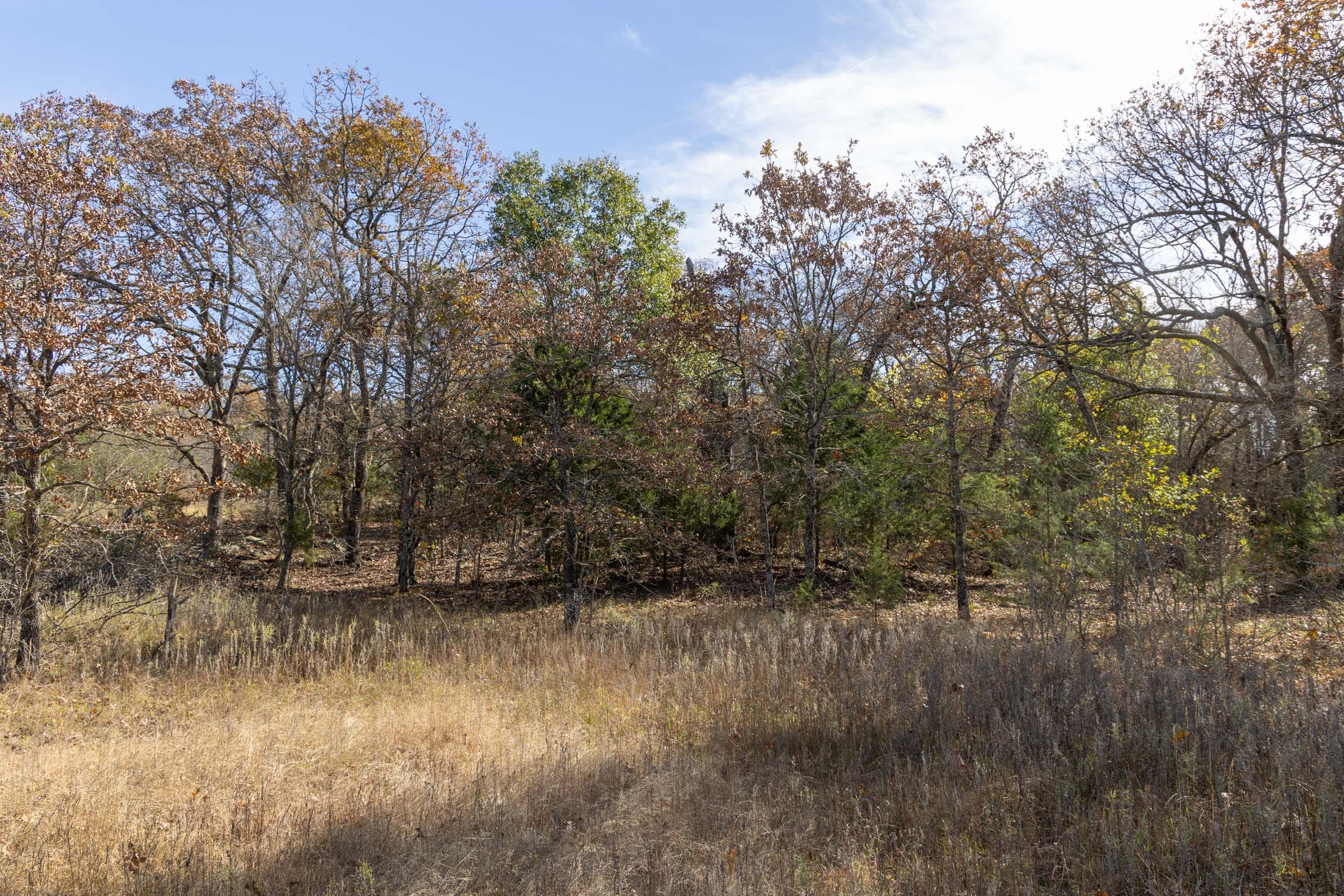 Harmony Hills Tract 45 photo 7