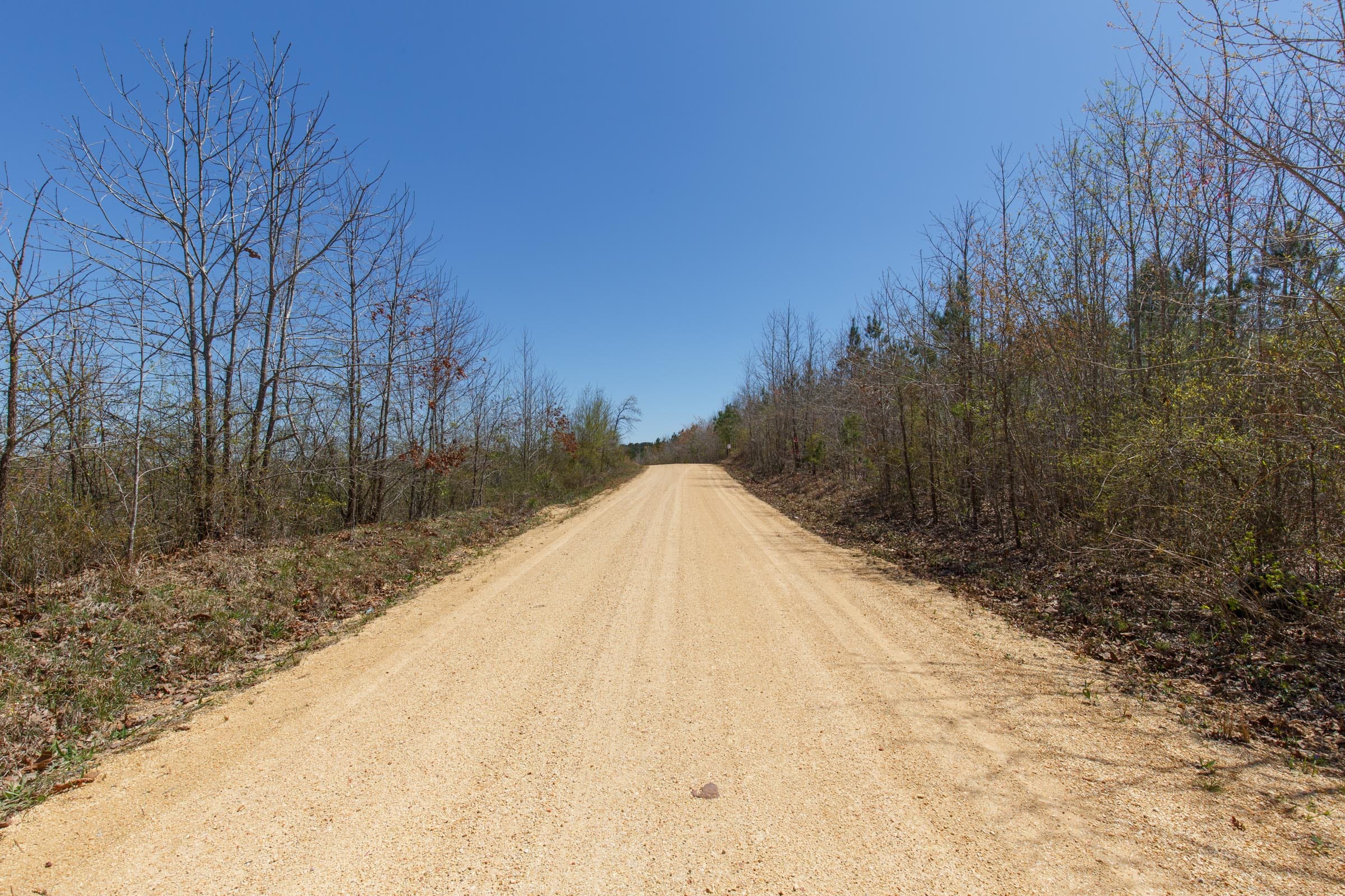 Southern Hills Tract 2 photo 2