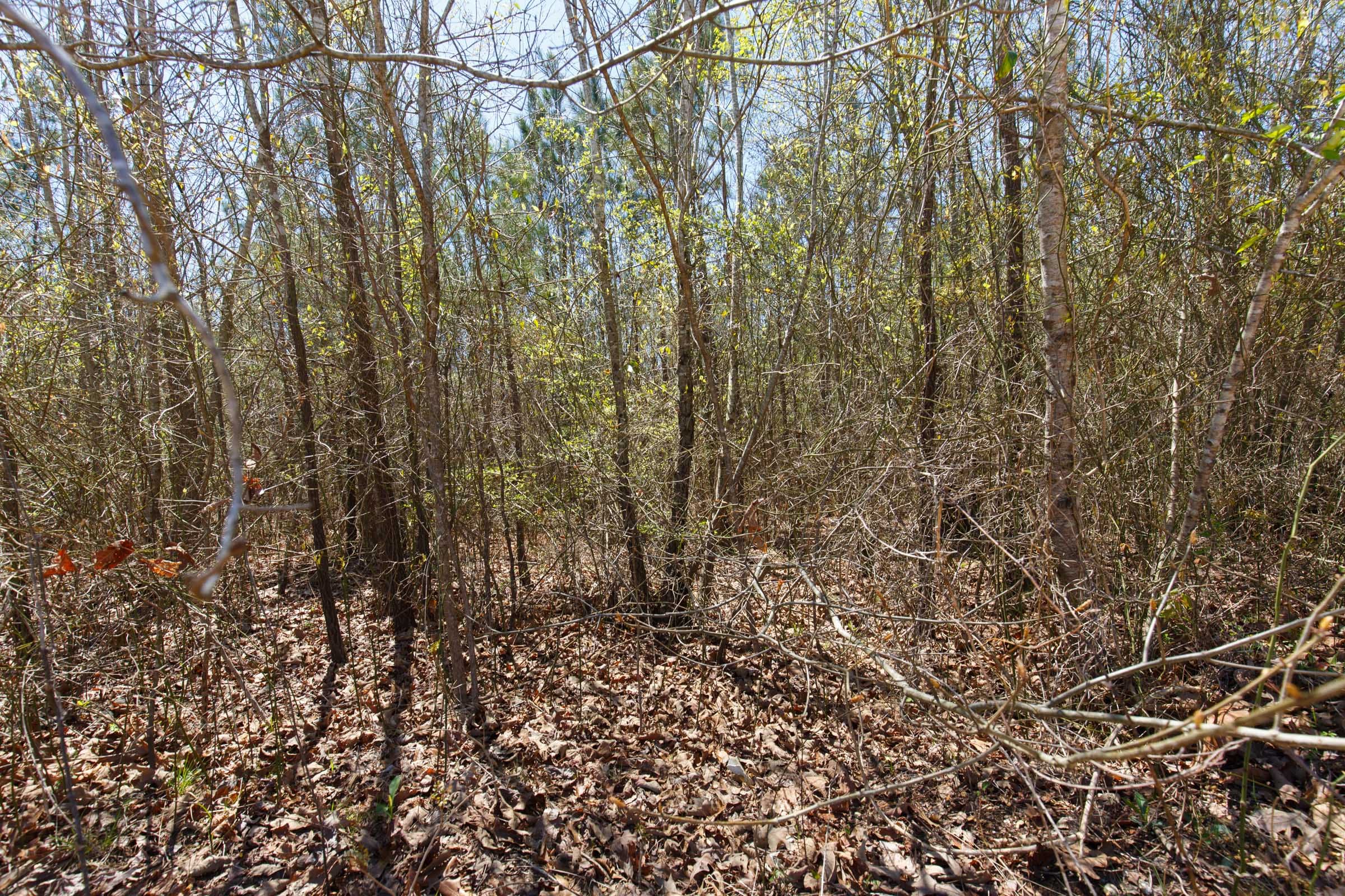 Southern Hills Tract 2 photo 3