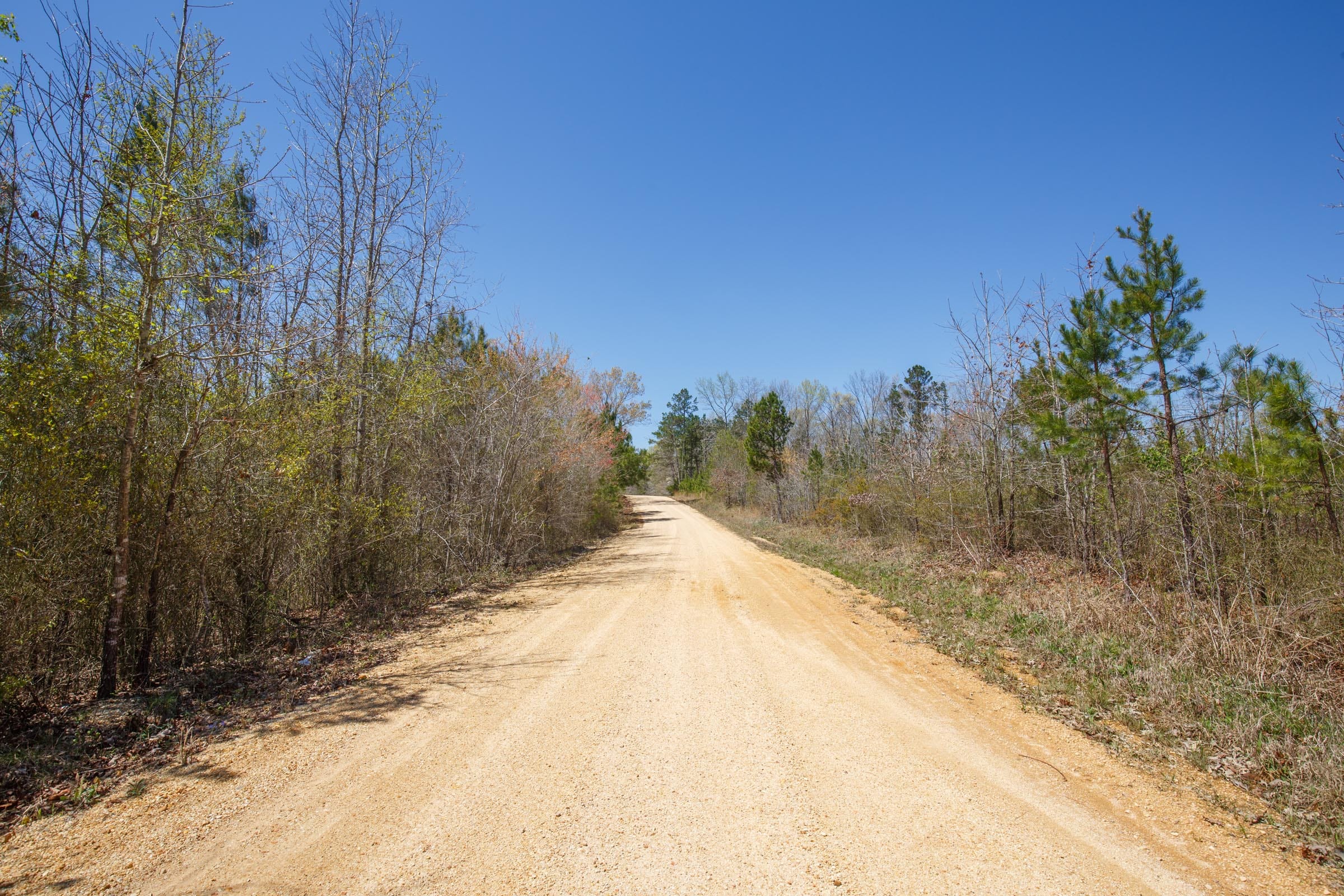 Southern Hills Tract 2 photo 5