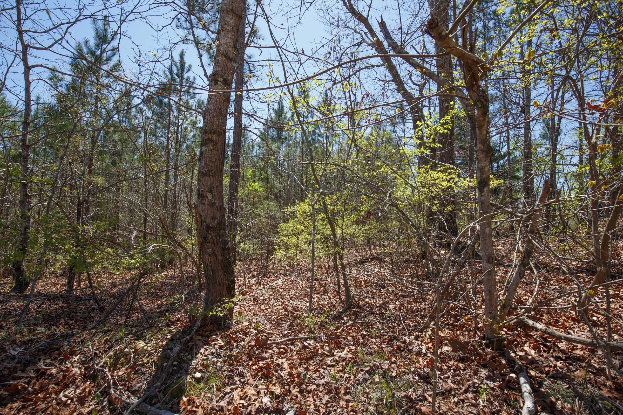 Southern Hills Tract 2 photo 4