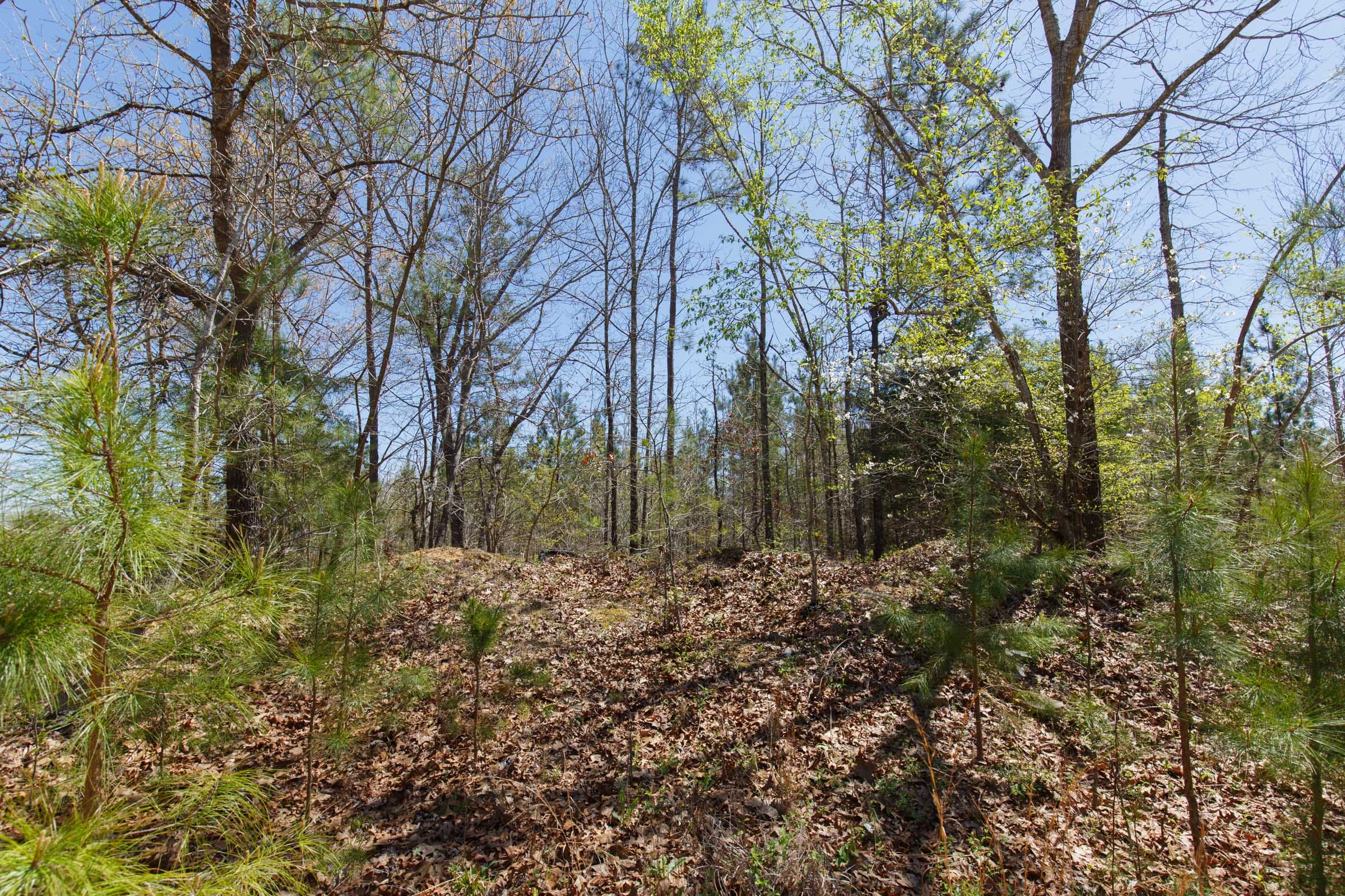 Southern Hills Tract 2 photo 7