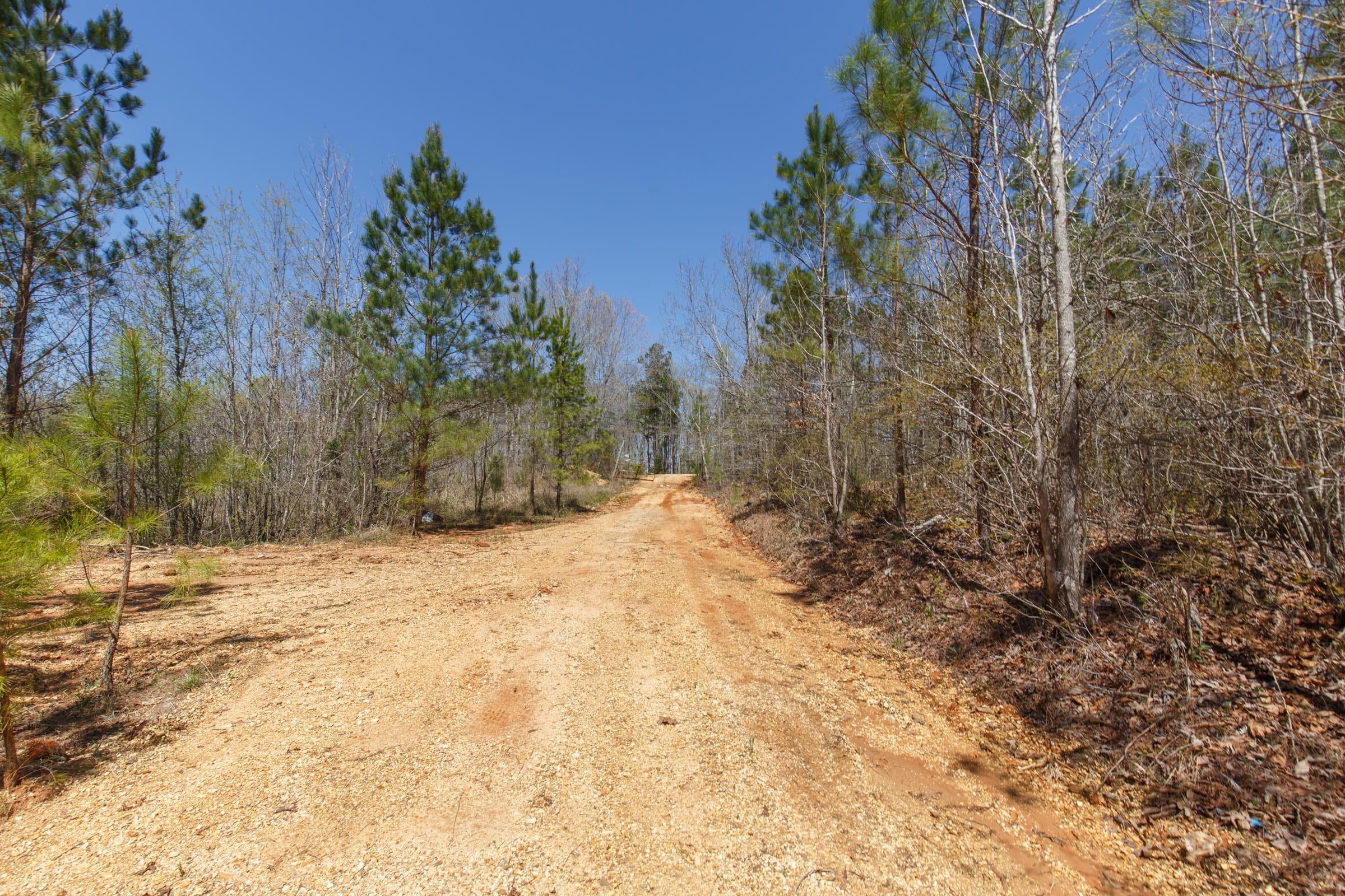 Southern Hills Tract 2 photo 11