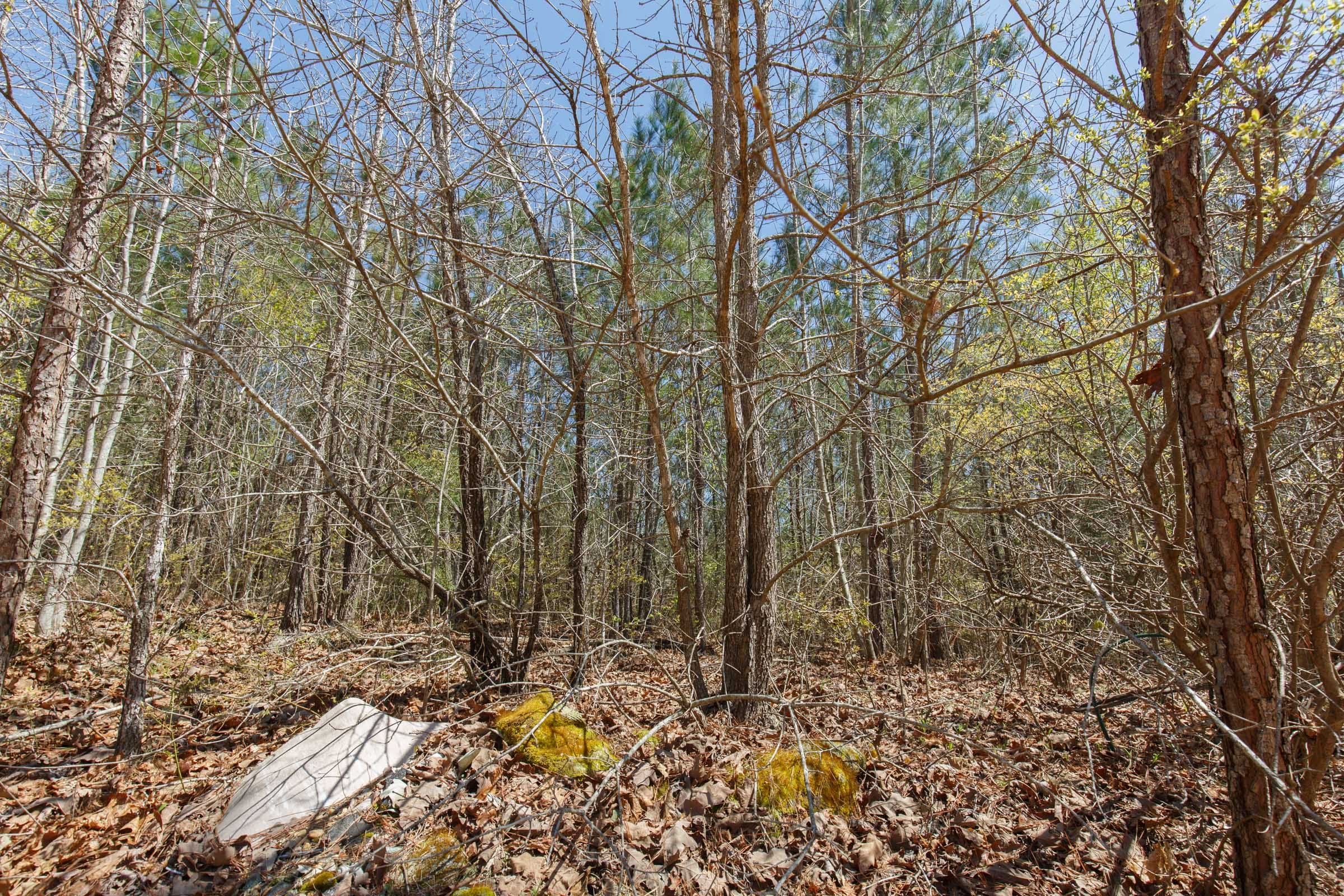 Southern Hills Tract 2 photo 12