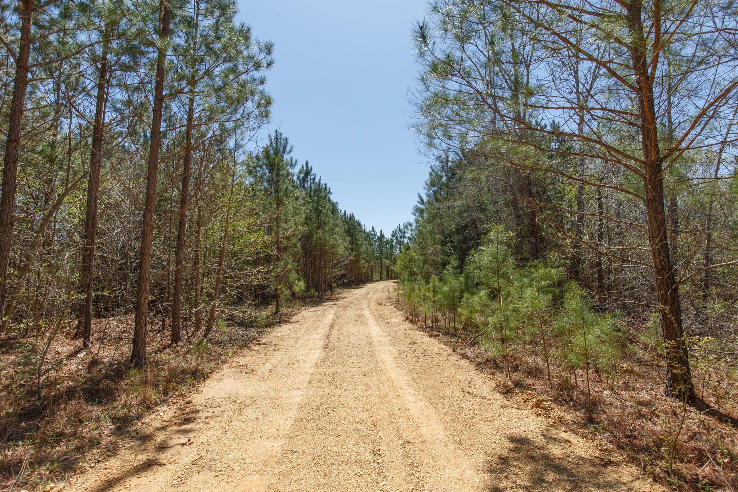 Southern Hills Tract 2 photo 14