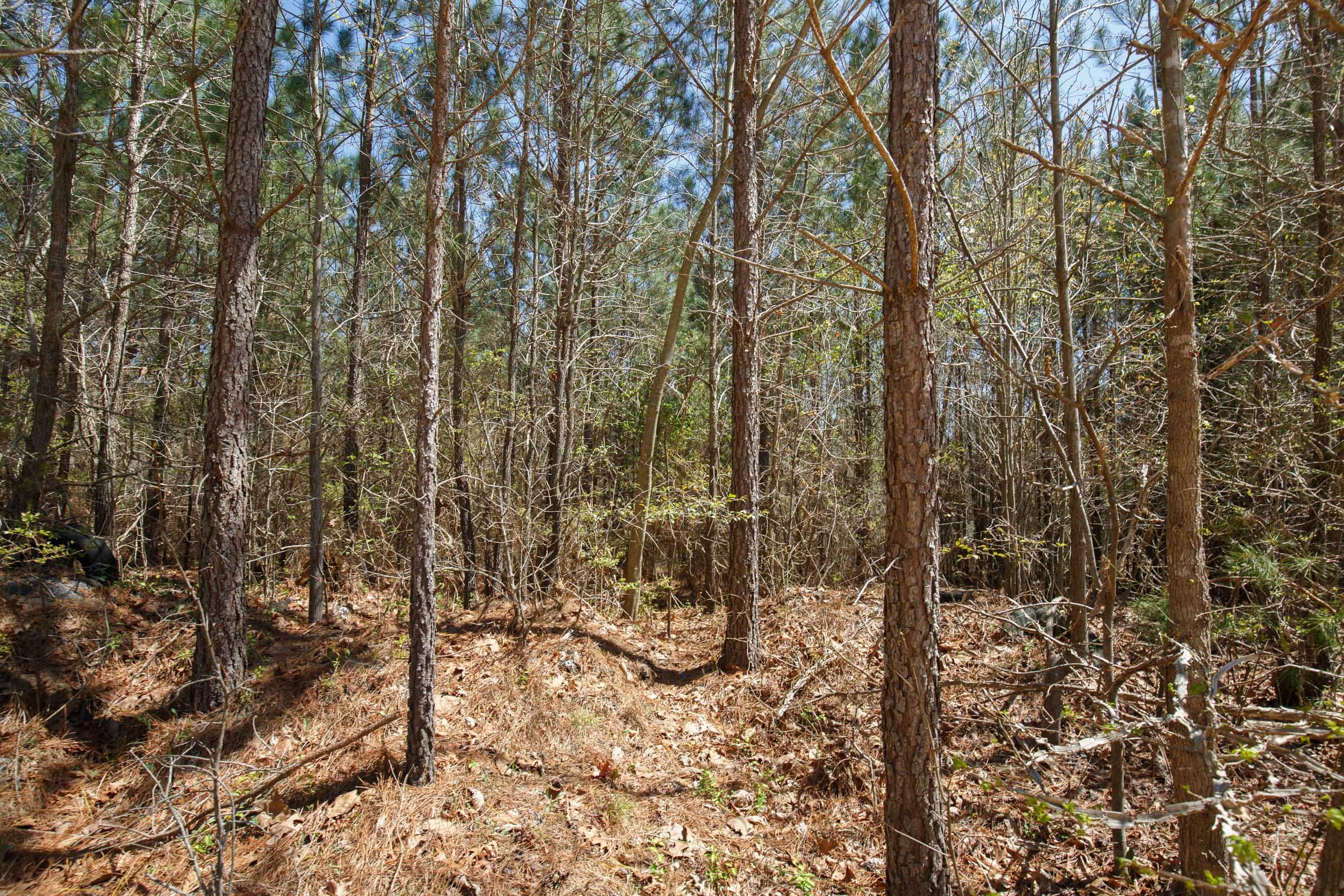 Southern Hills Tract 2 photo 13