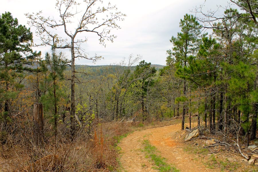 Trophy Ridge Phase III Tract 42 photo 1