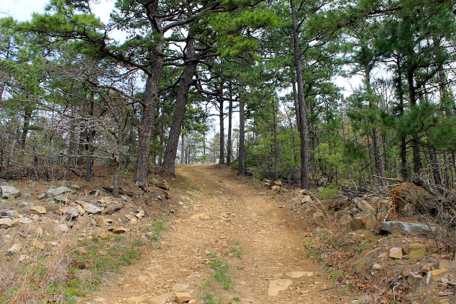 Trophy Ridge Phase III Tract 42 photo 2
