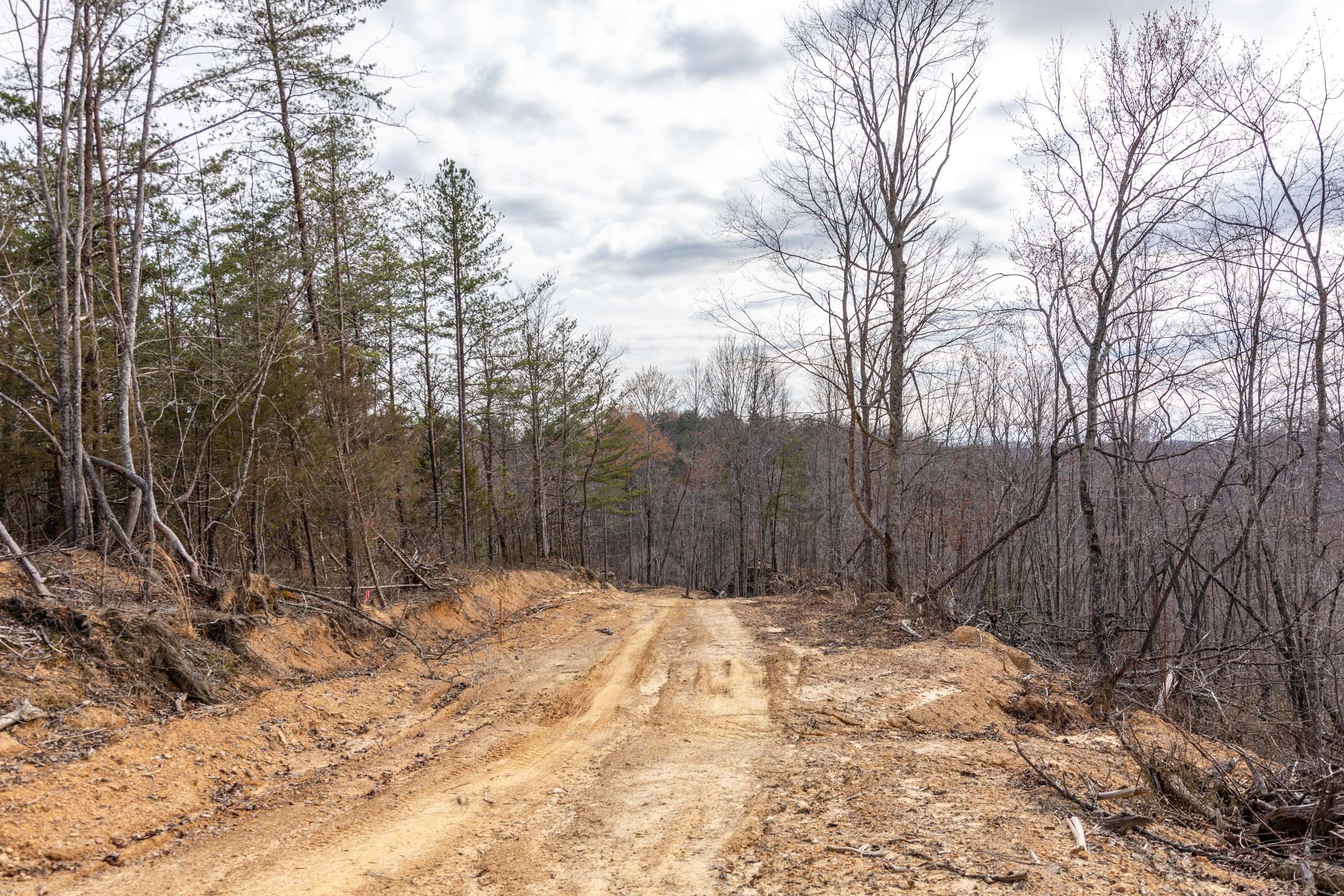 Creek Hollow Phase I Tract 30 photo 1