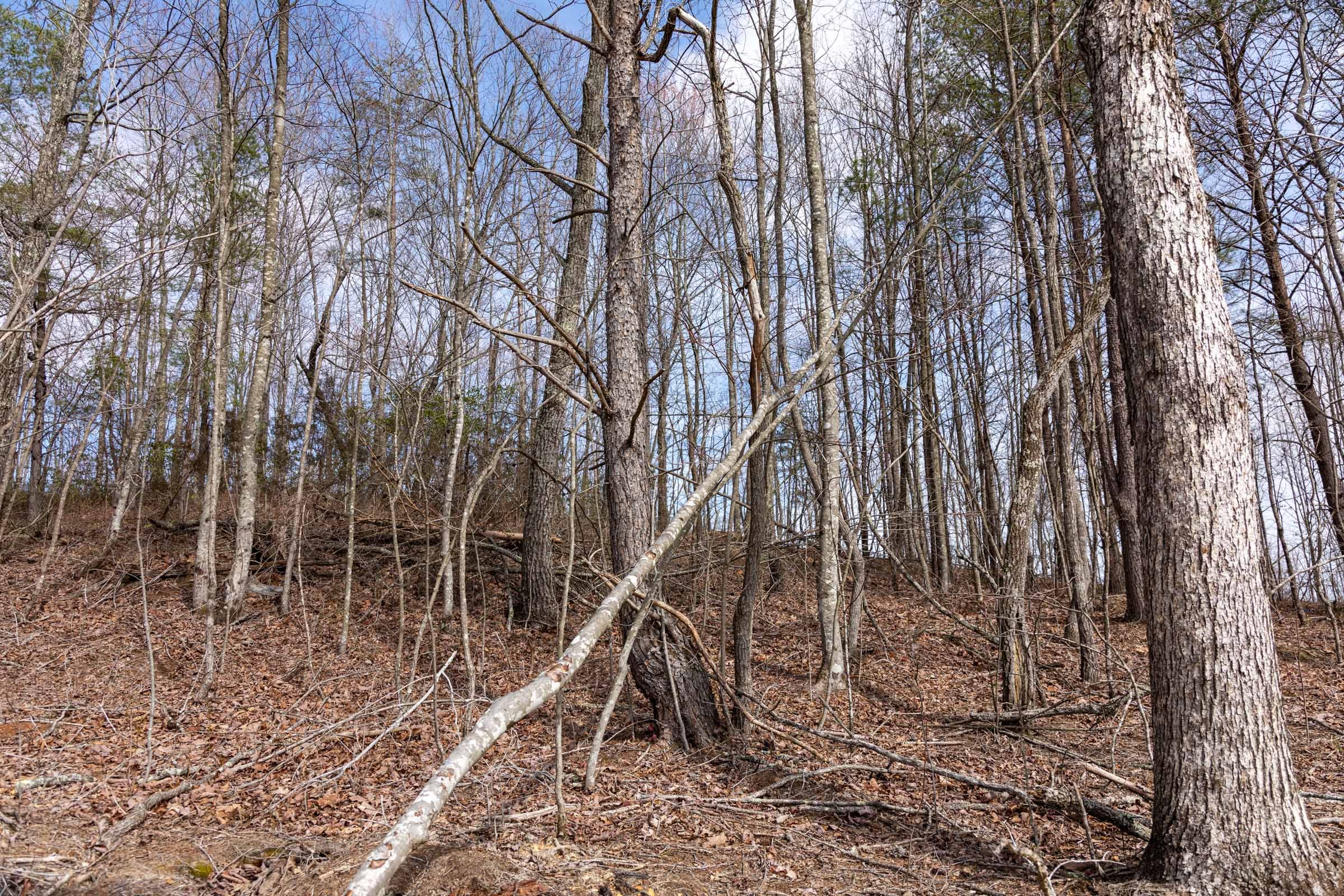 Creek Hollow Phase I Tract 30 photo 3