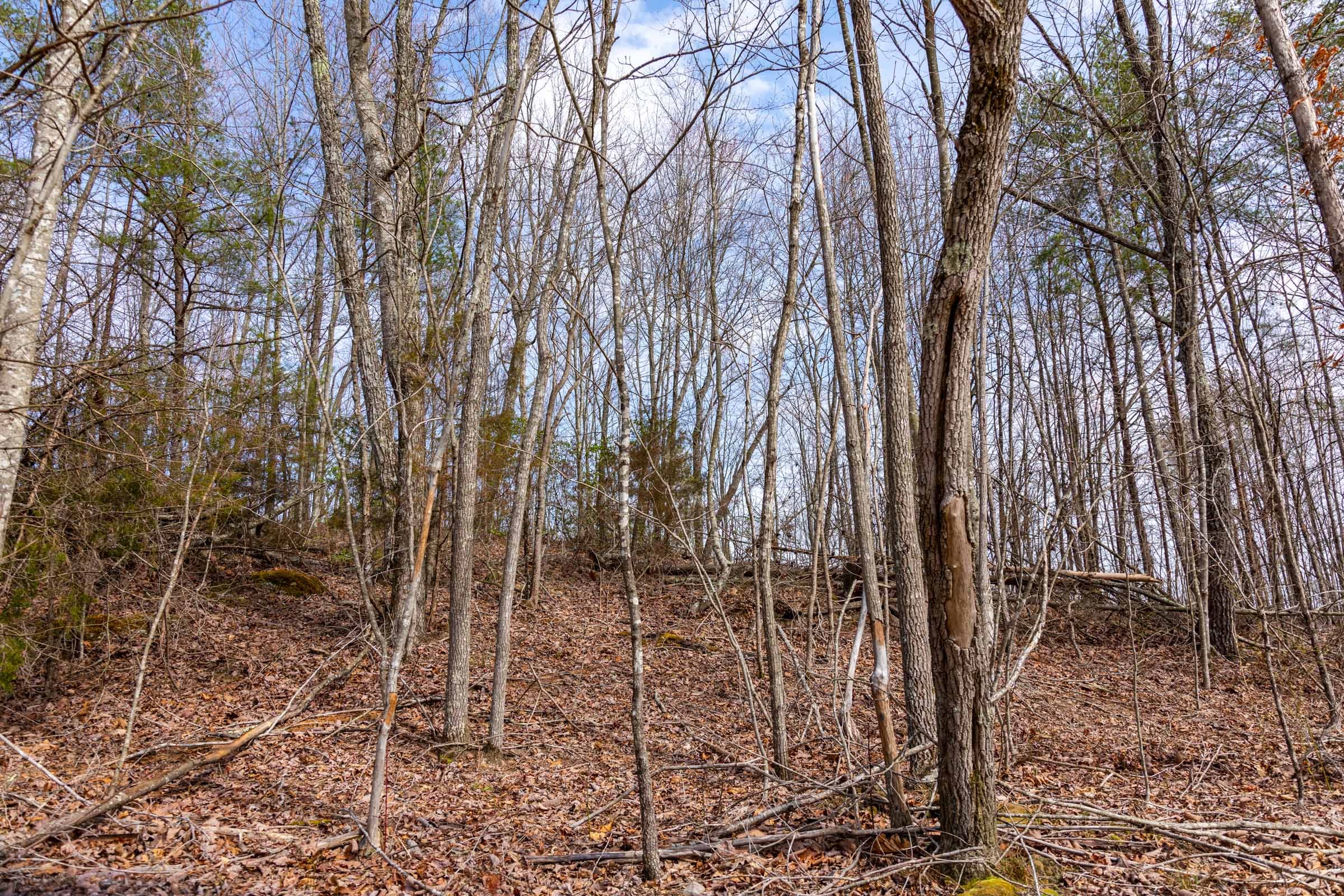 Creek Hollow Phase I Tract 30 photo 5