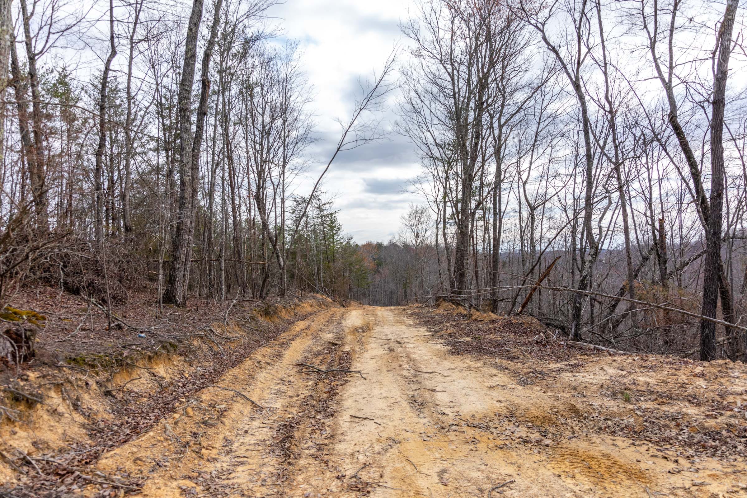 Creek Hollow Phase I Tract 30 photo 6