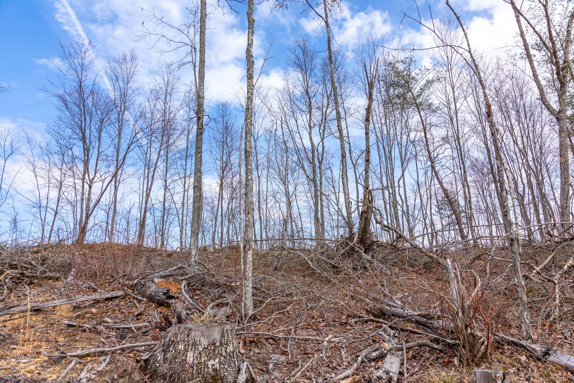 Creek Hollow Phase I Tract 30 photo 7