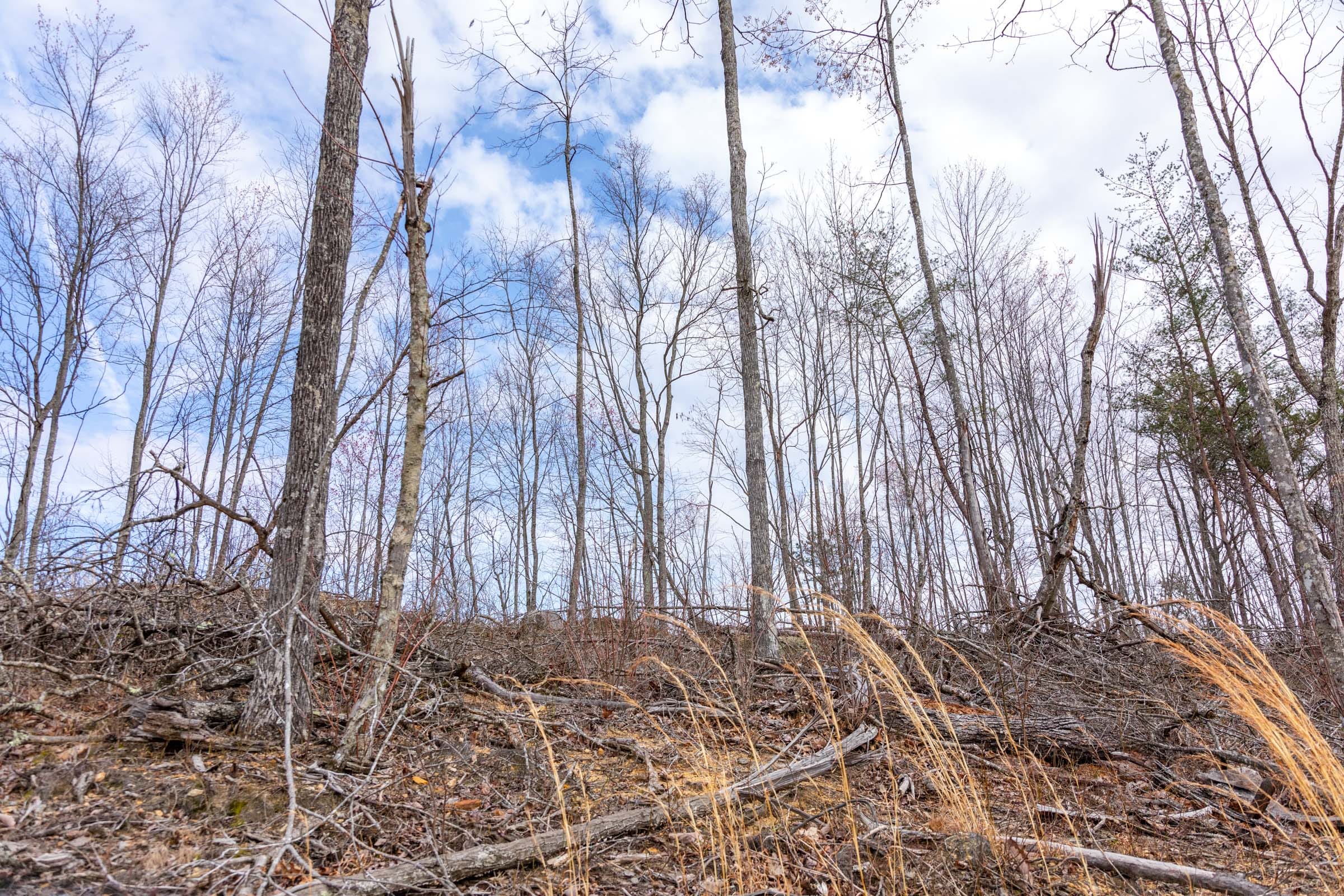 Creek Hollow Phase I Tract 30 photo 10