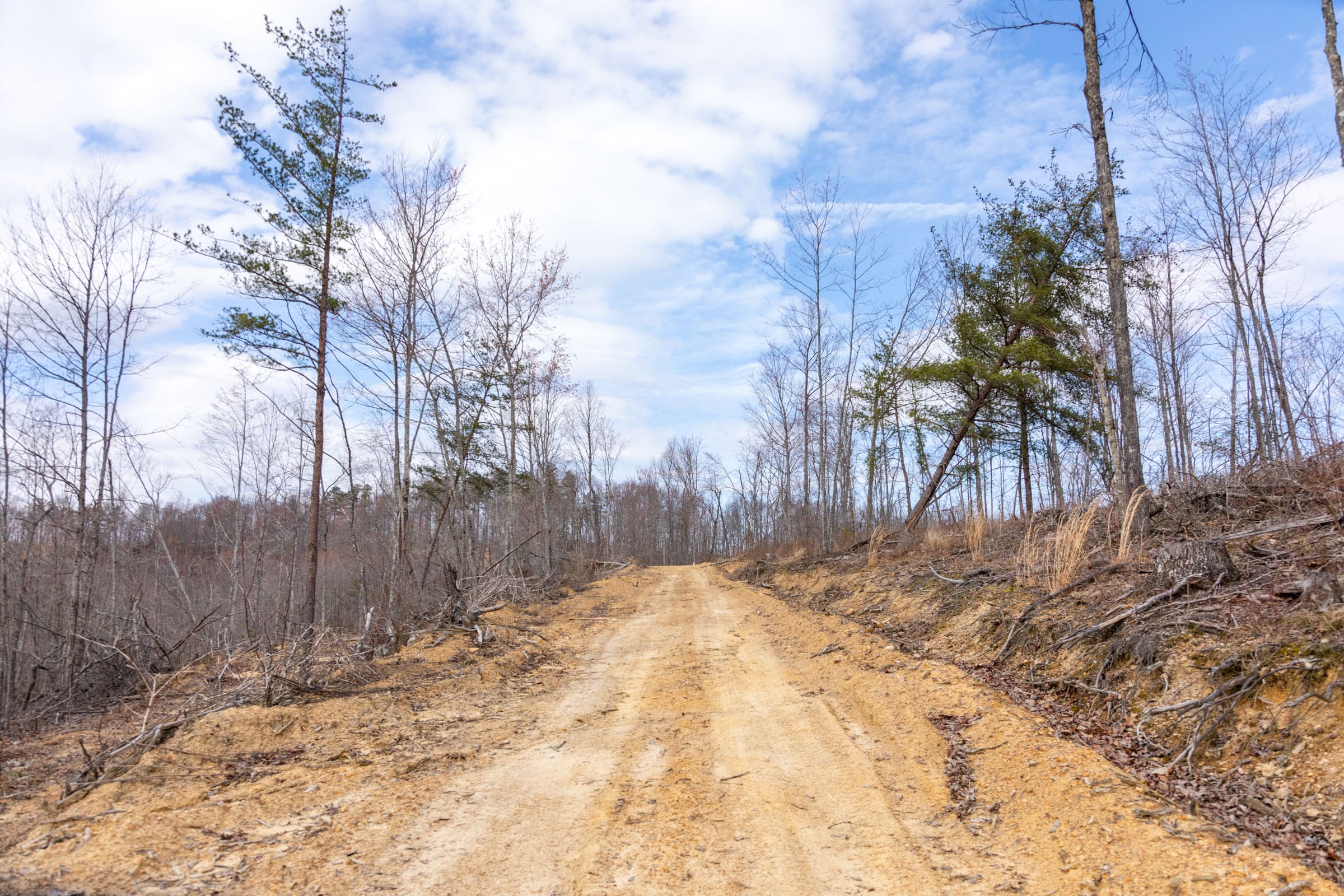 Creek Hollow Phase I Tract 30 photo 8