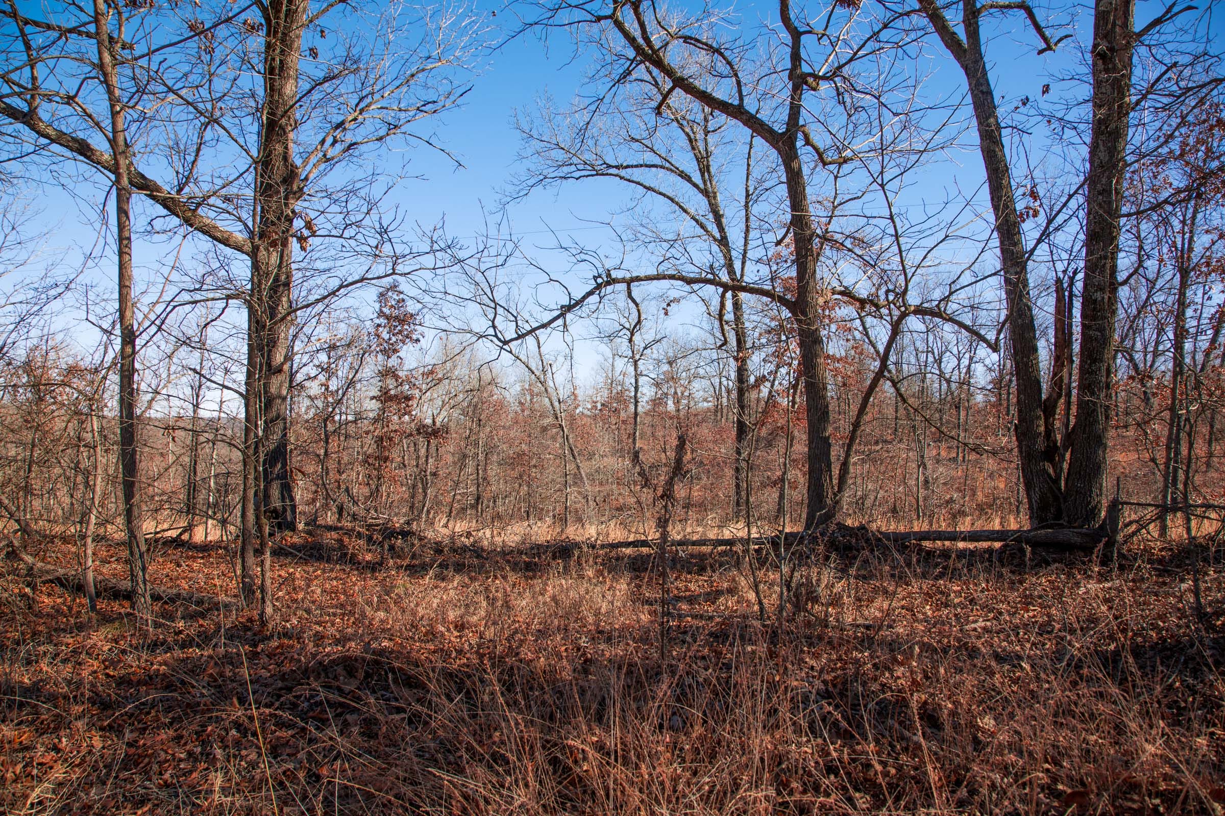 Buffalo Hills Tract 13 photo 2