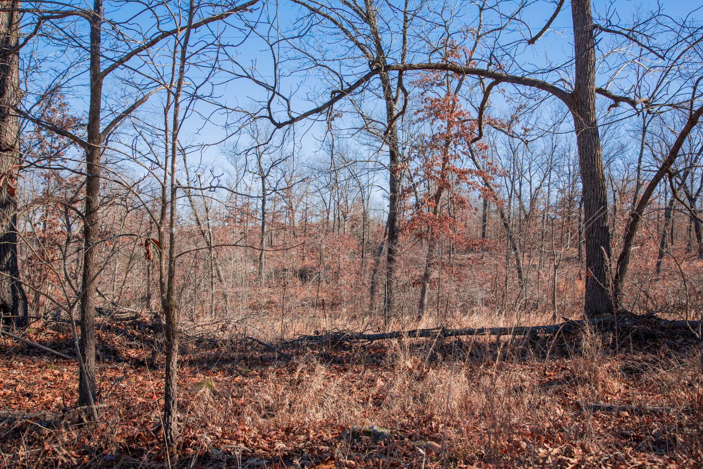 Buffalo Hills Tract 13 photo 3