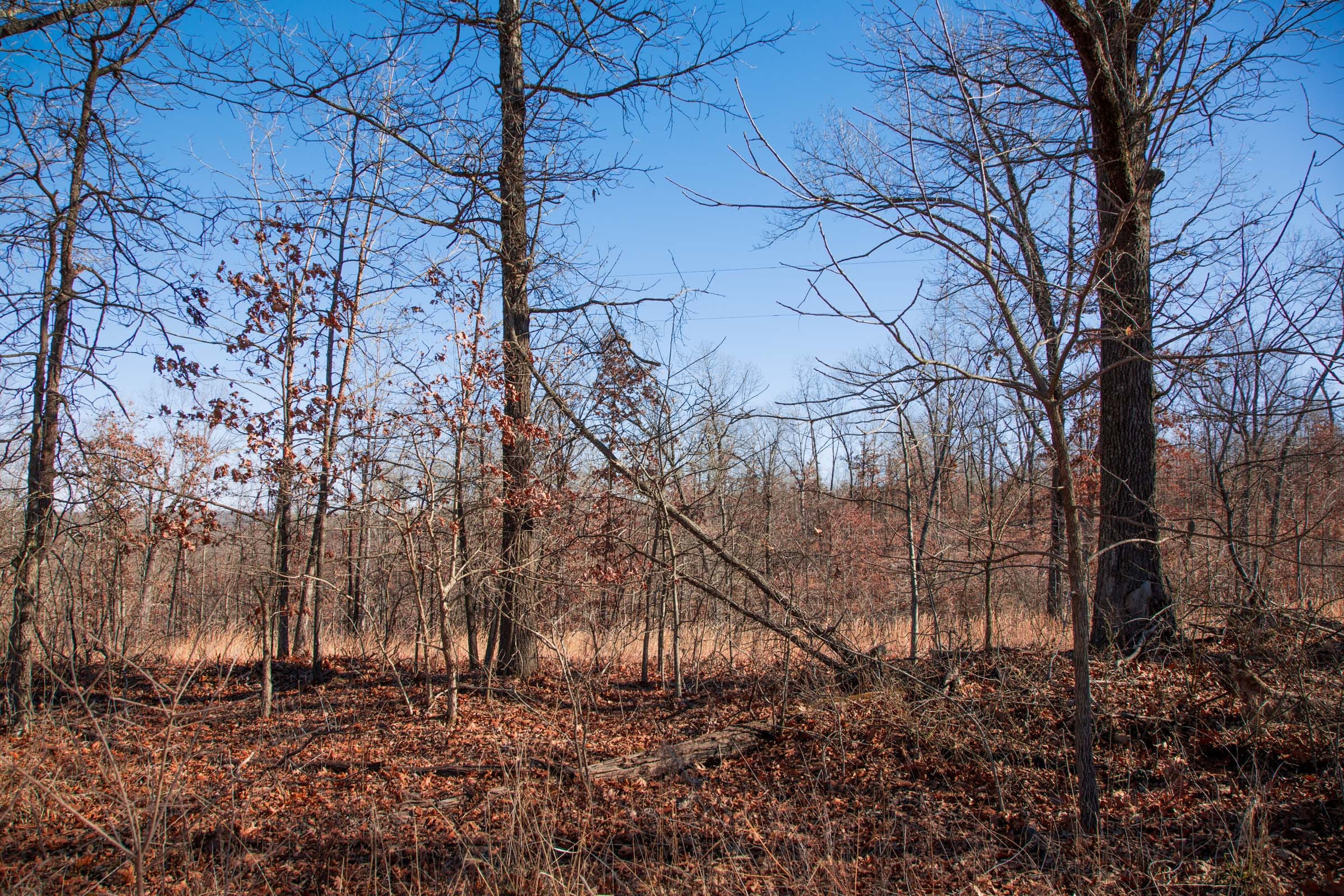 Buffalo Hills Tract 13 photo 4