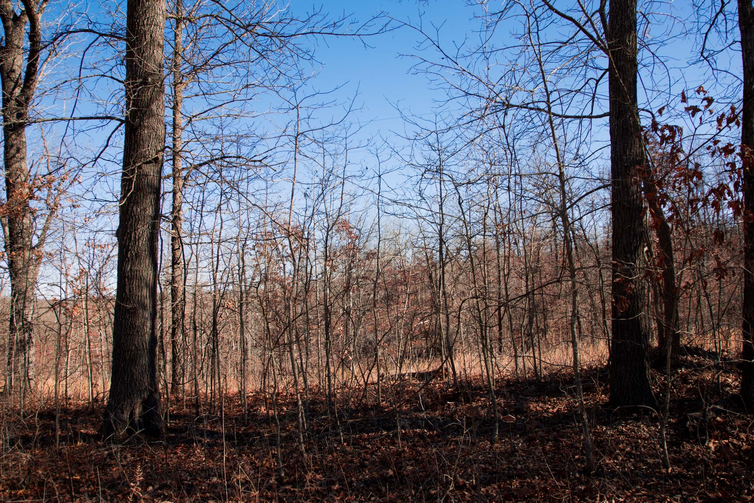 Buffalo Hills Tract 13 photo 5