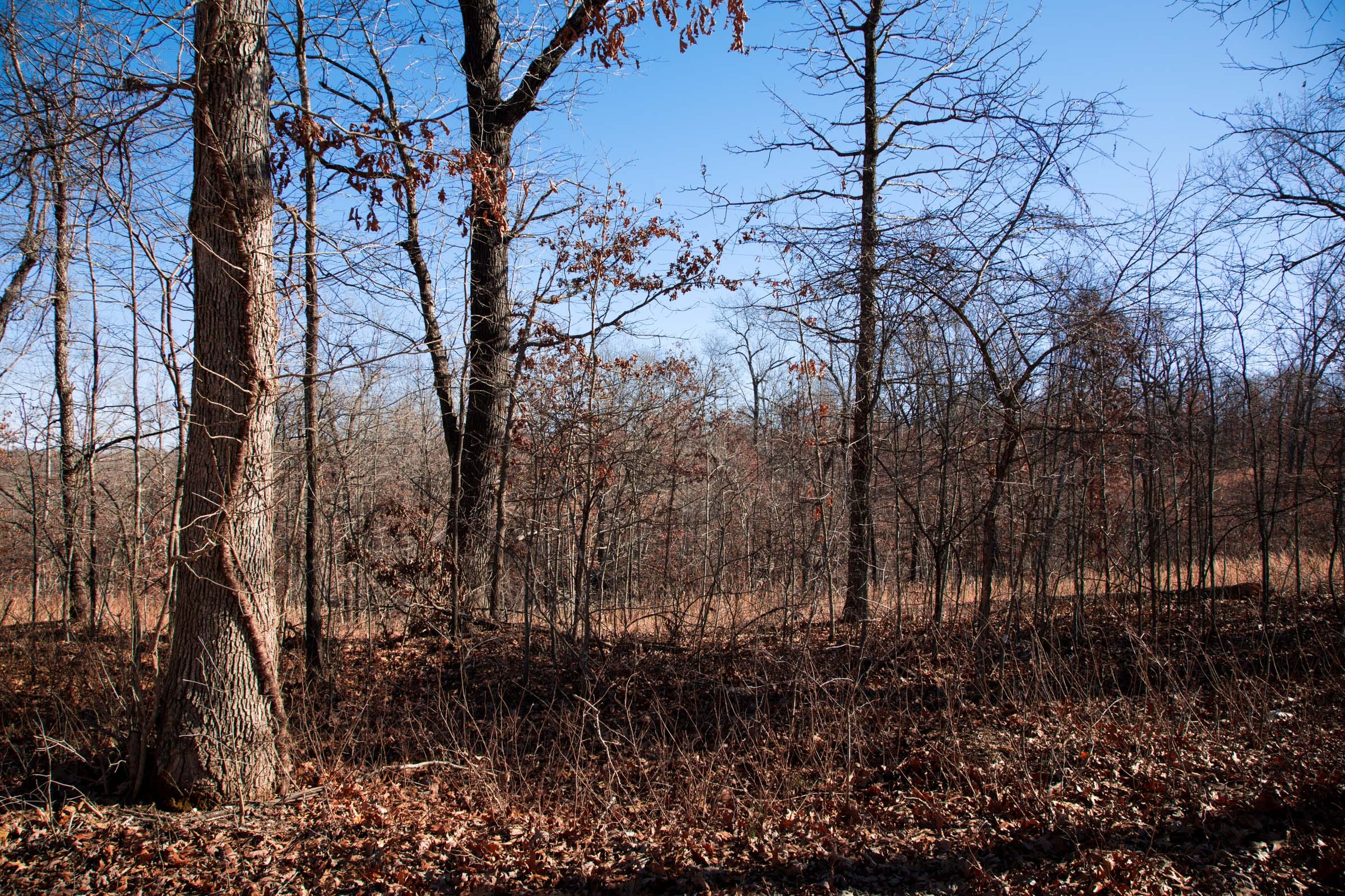 Buffalo Hills Tract 13 photo 6