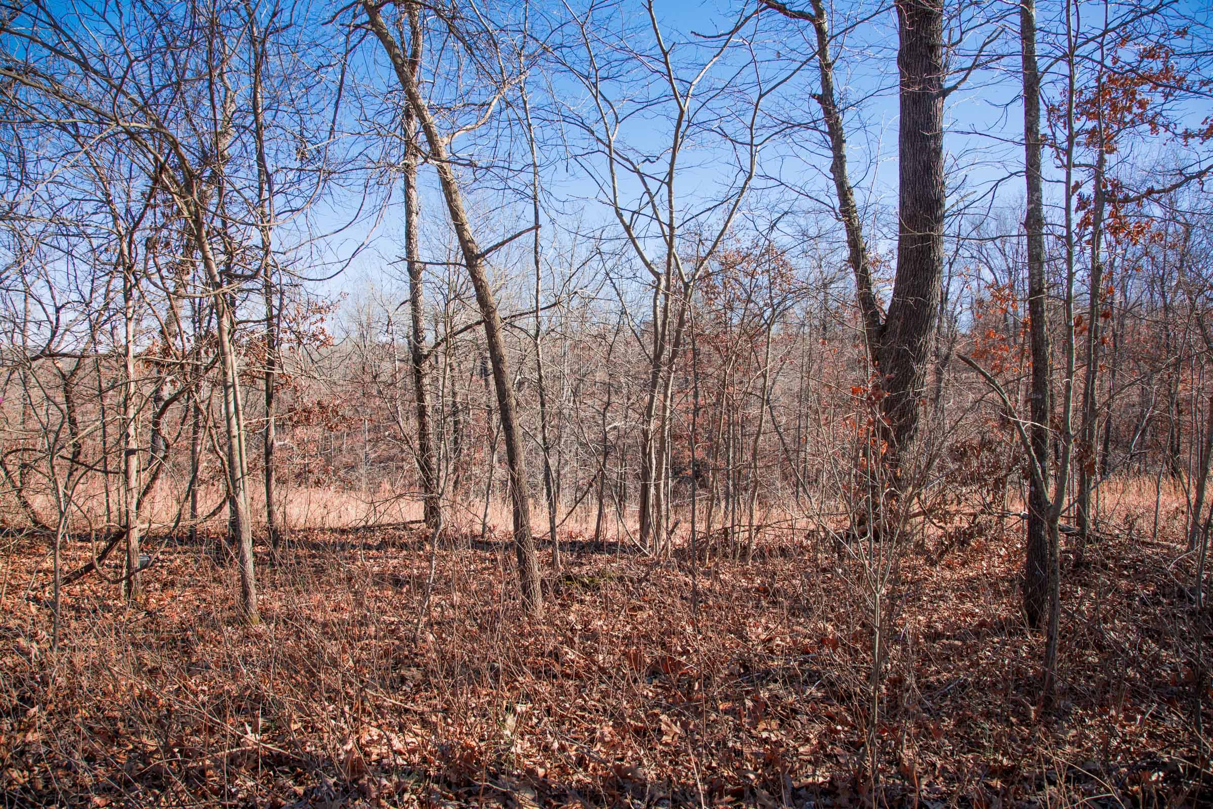 Buffalo Hills Tract 13 photo 7