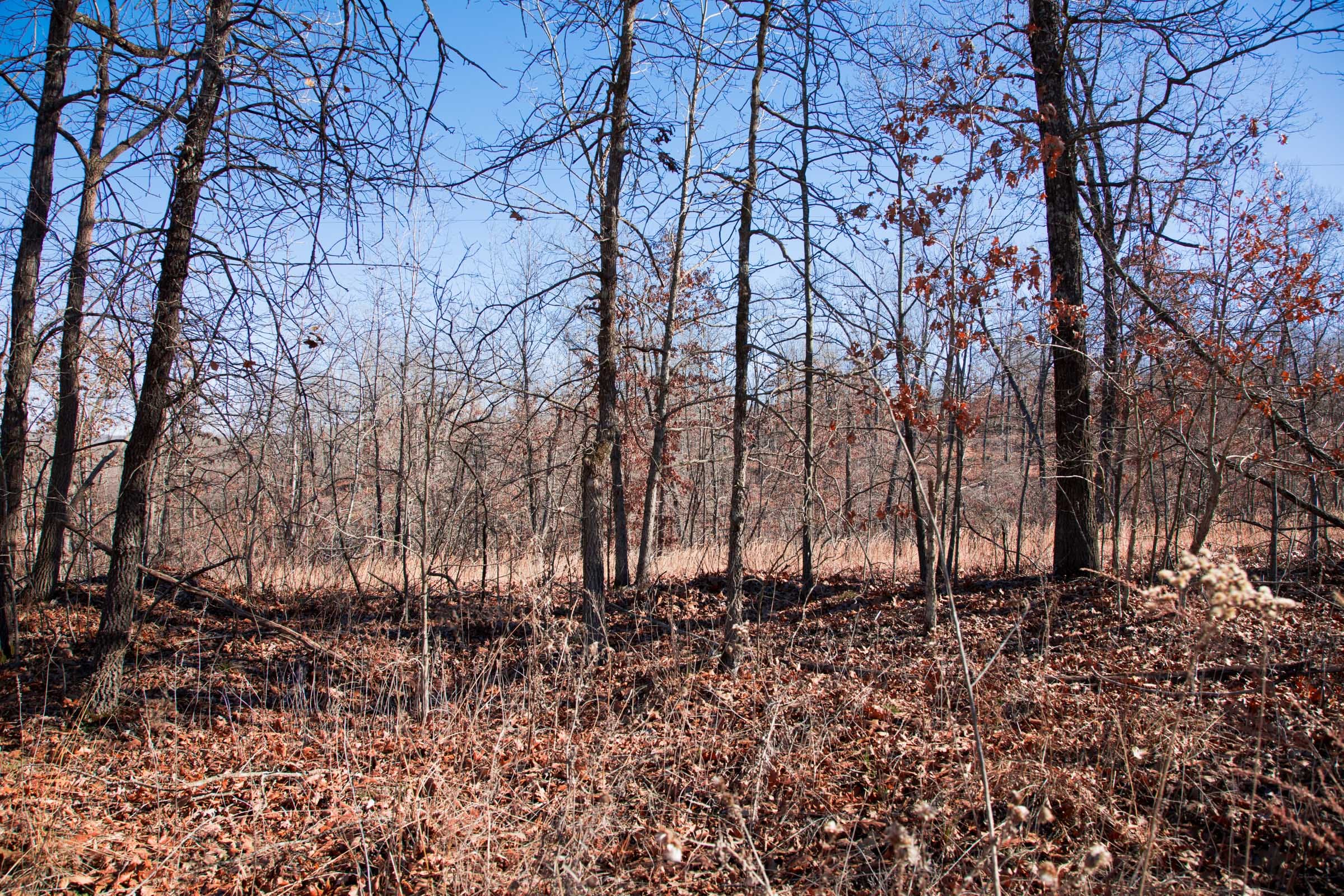 Buffalo Hills Tract 13 photo 9