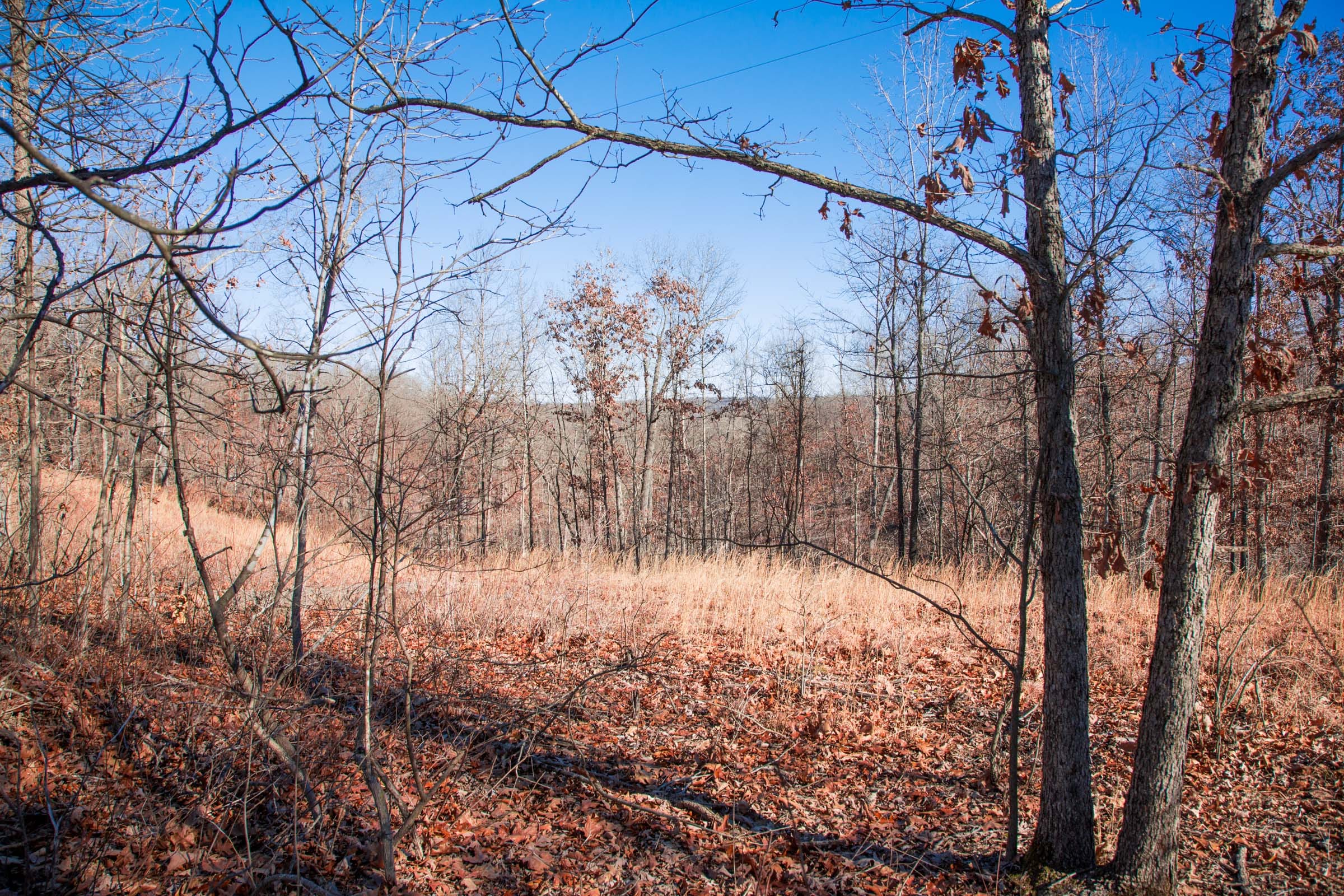 Buffalo Hills Tract 13 photo 10