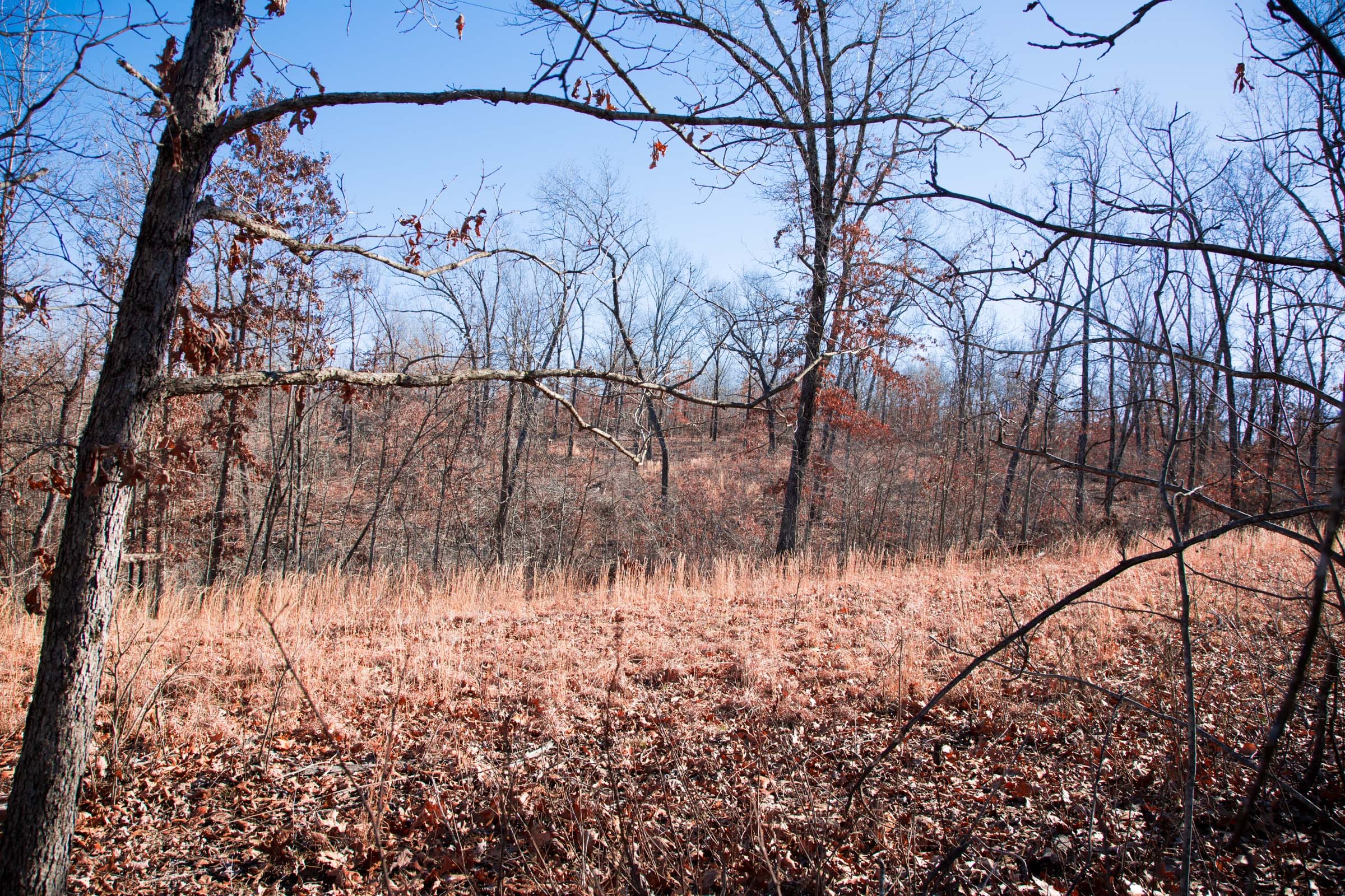 Buffalo Hills Tract 13 photo 11
