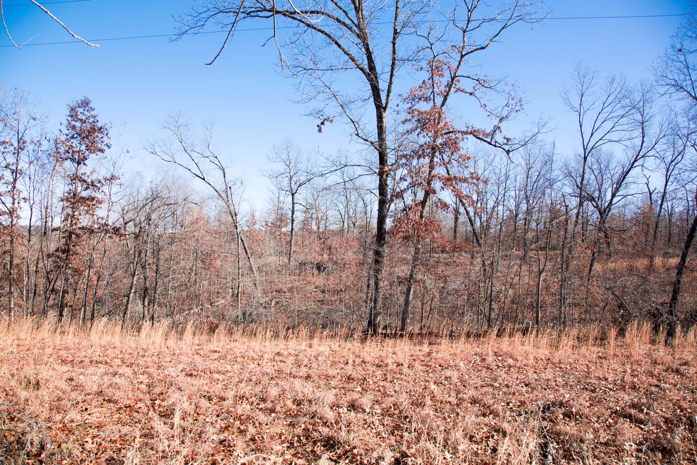 Buffalo Hills Tract 13 photo 12