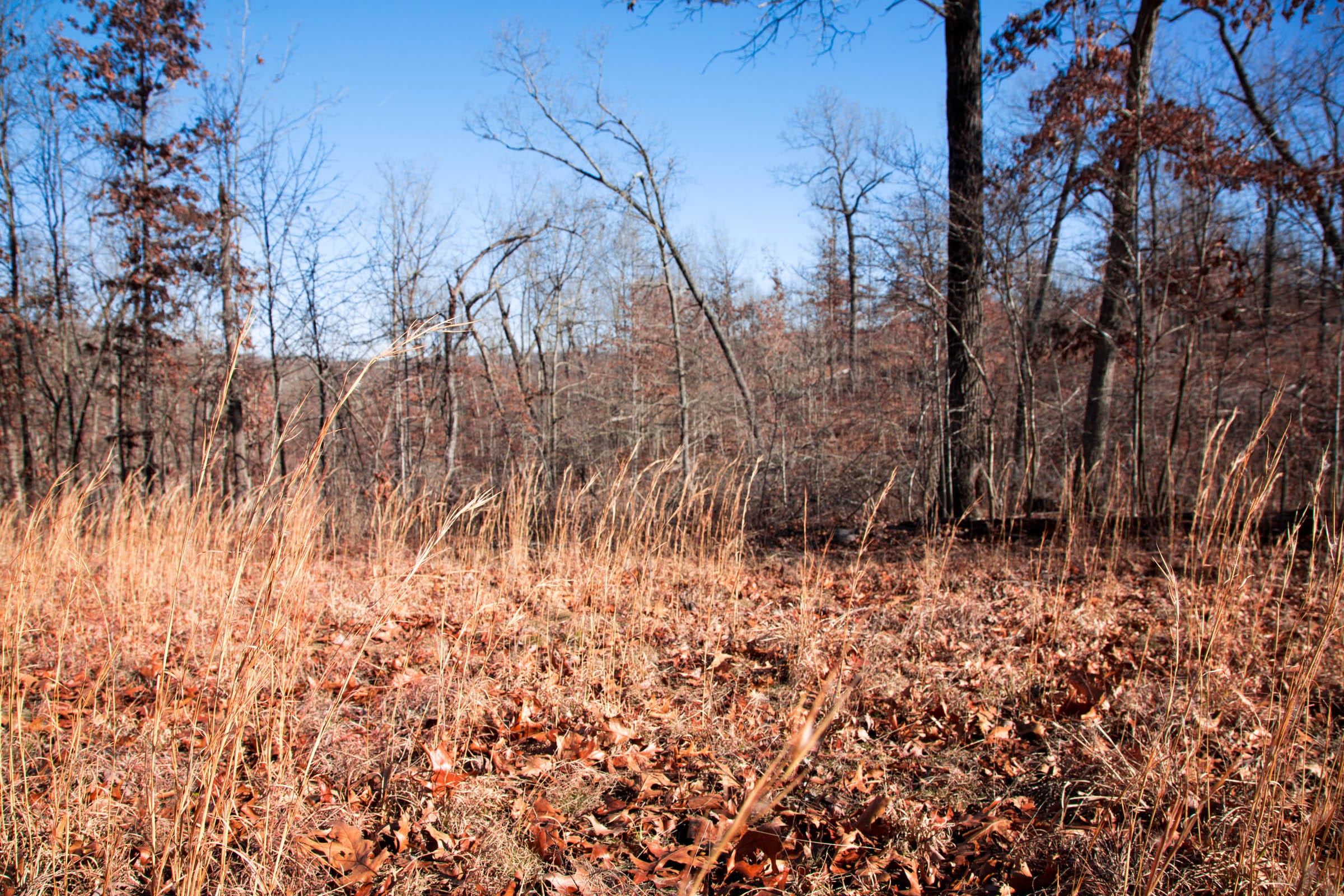 Buffalo Hills Tract 13 photo 14