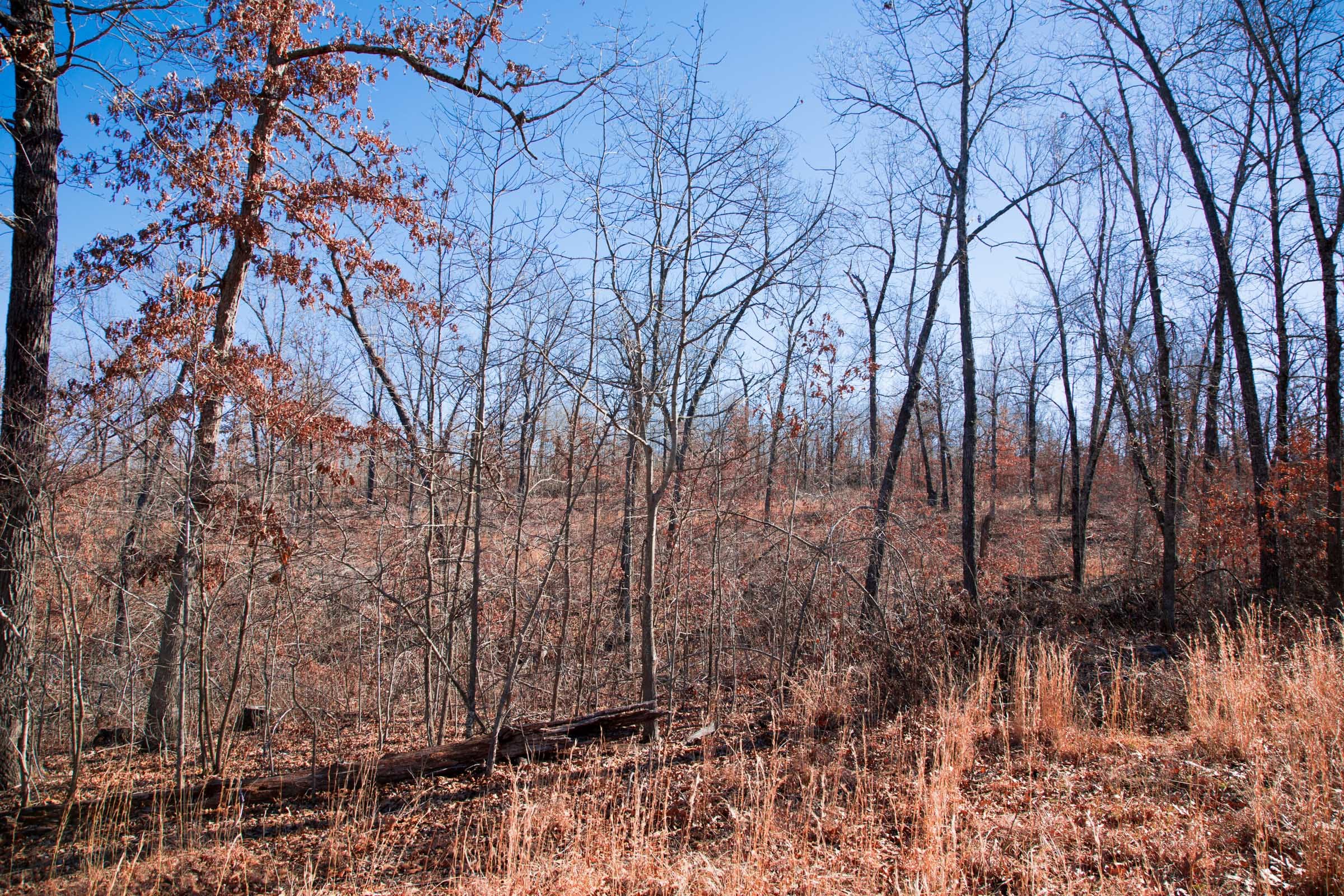 Buffalo Hills Tract 13 photo 15