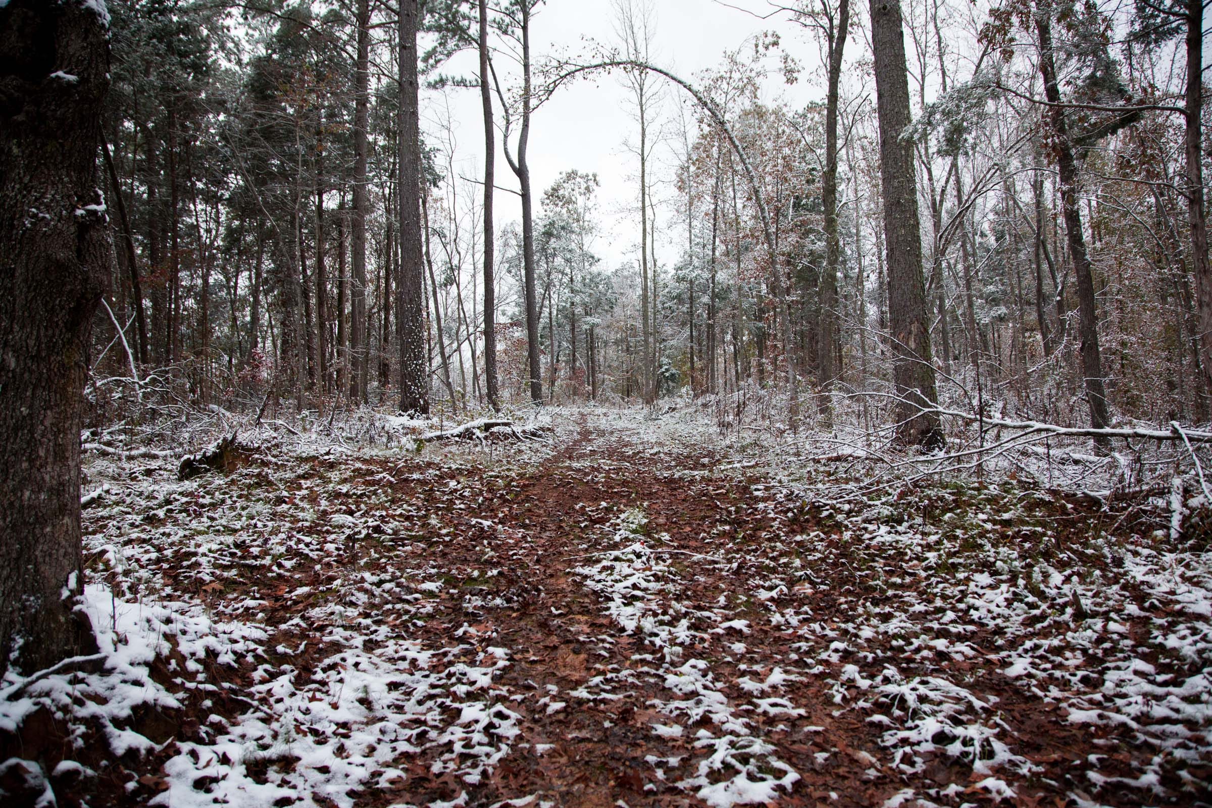 Sweet Water Ranch Tract 13 photo 1