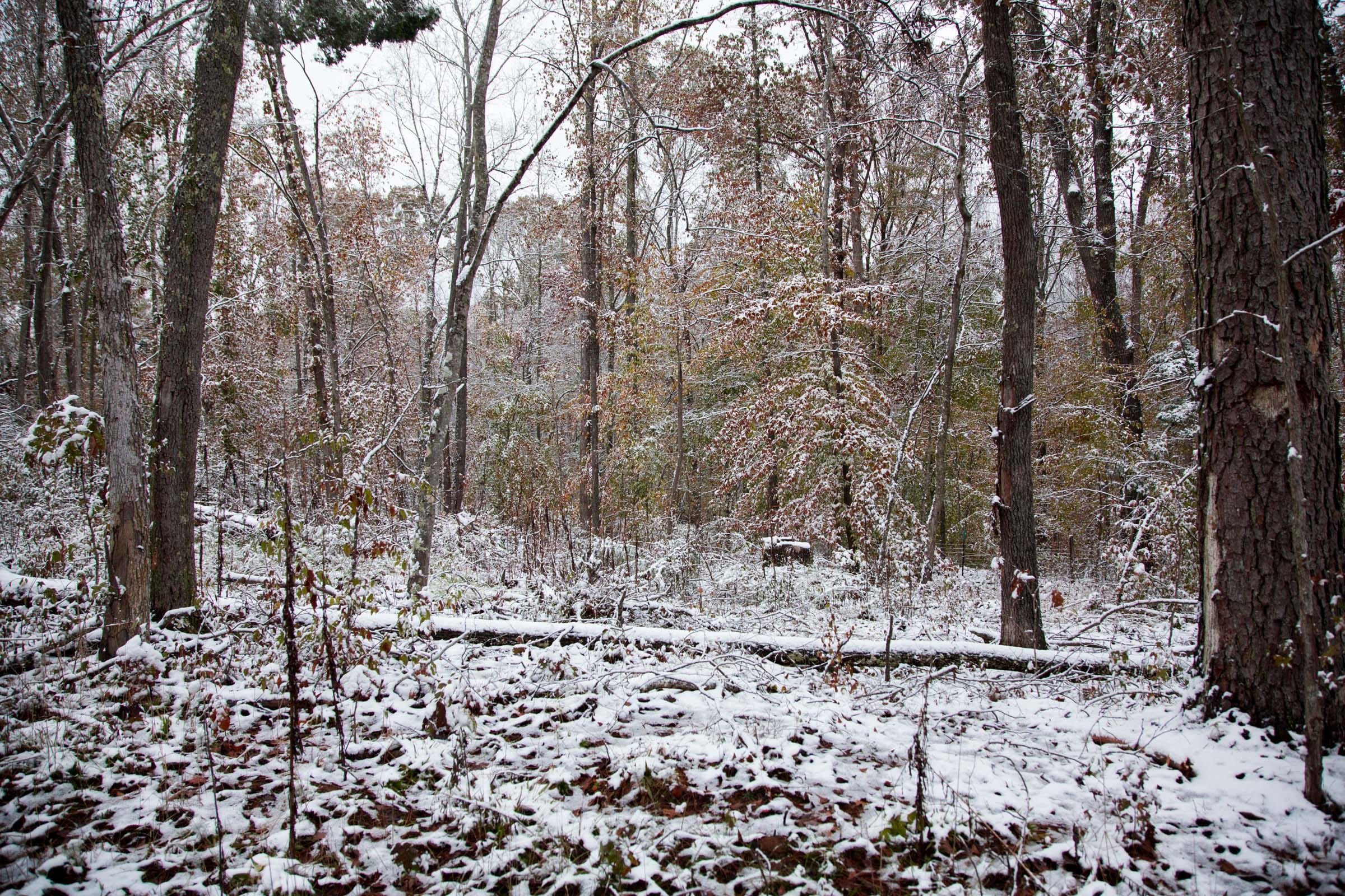 Sweet Water Ranch Tract 13 photo 2