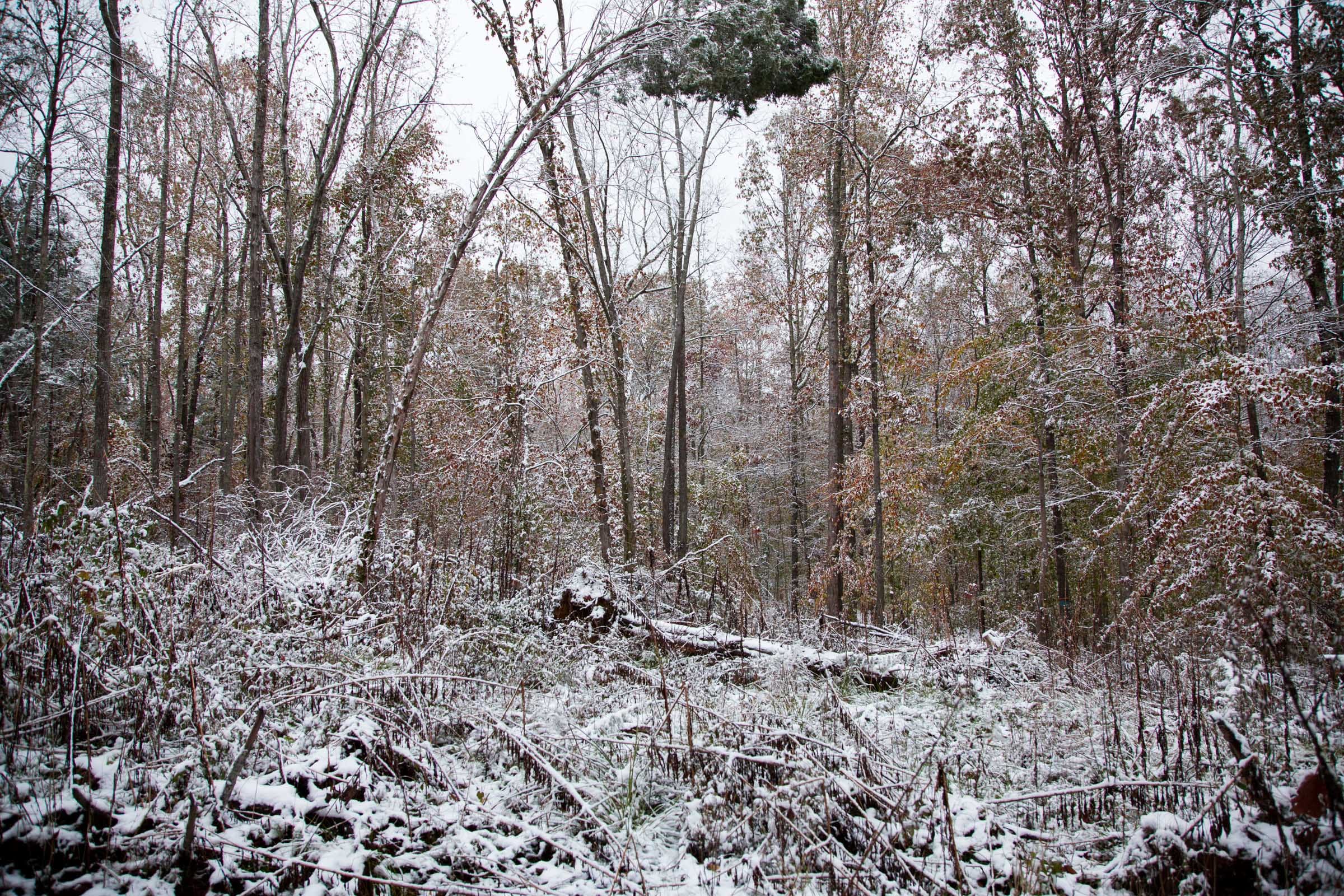 Sweet Water Ranch Tract 13 photo 3