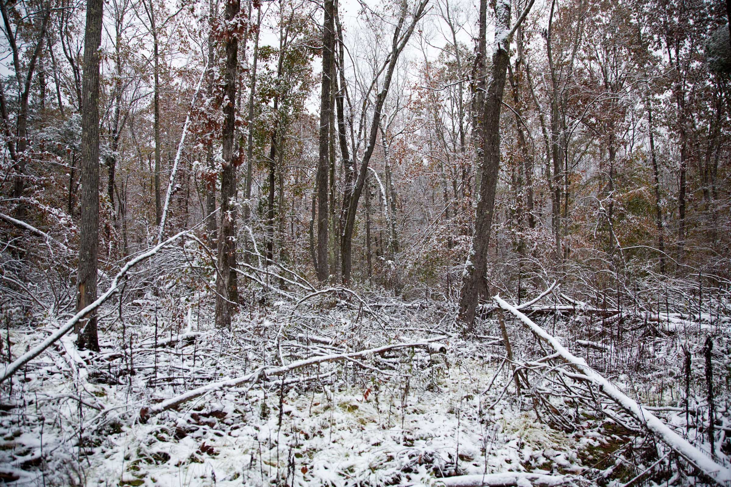 Sweet Water Ranch Tract 13 photo 4