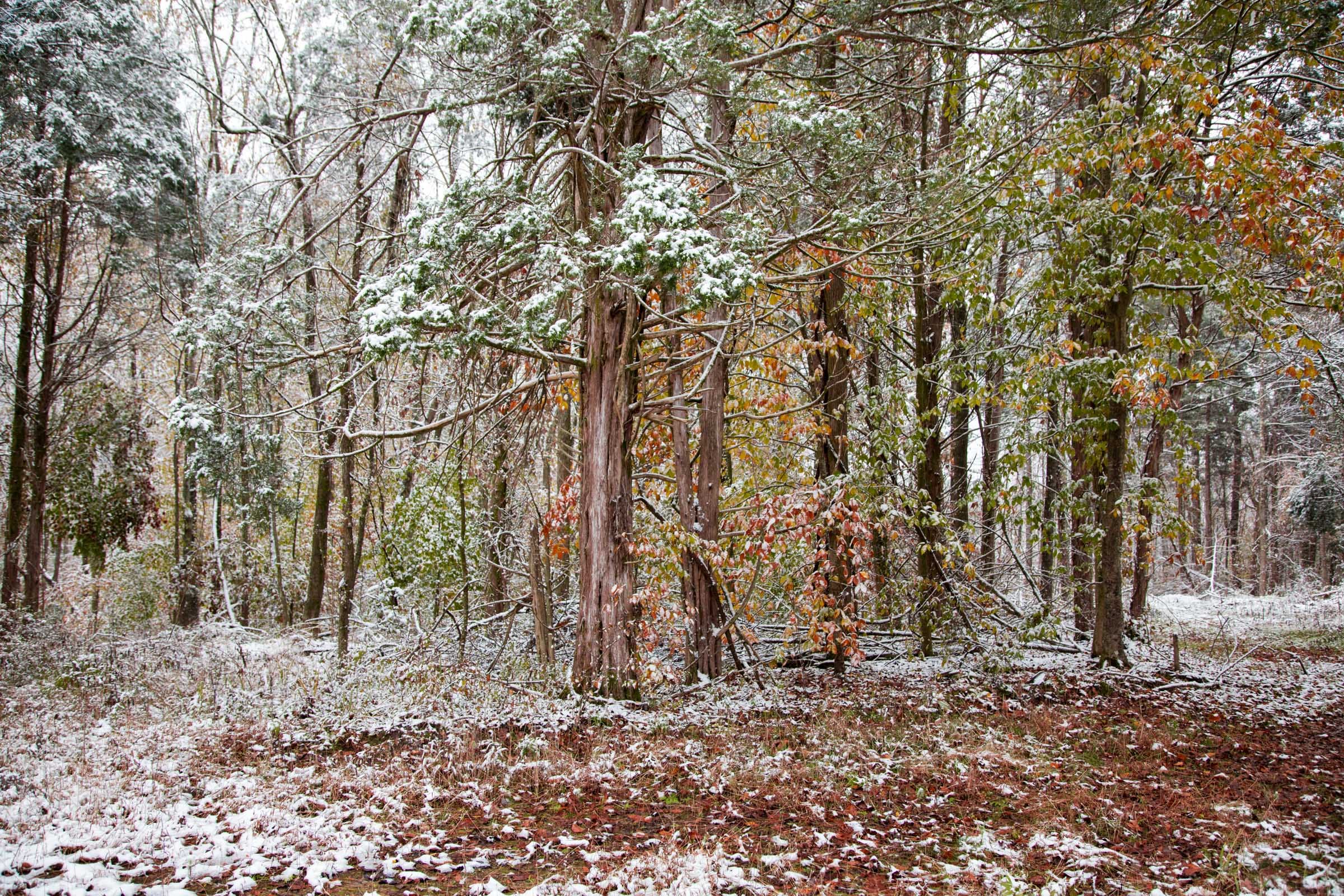 Sweet Water Ranch Tract 13 photo 5