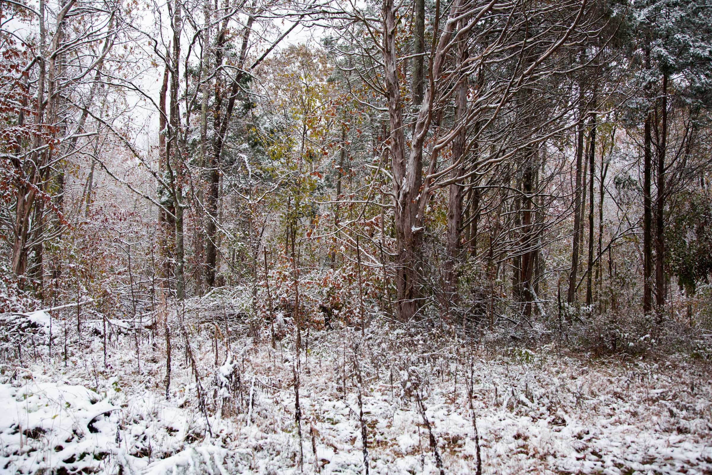 Sweet Water Ranch Tract 13 photo 6