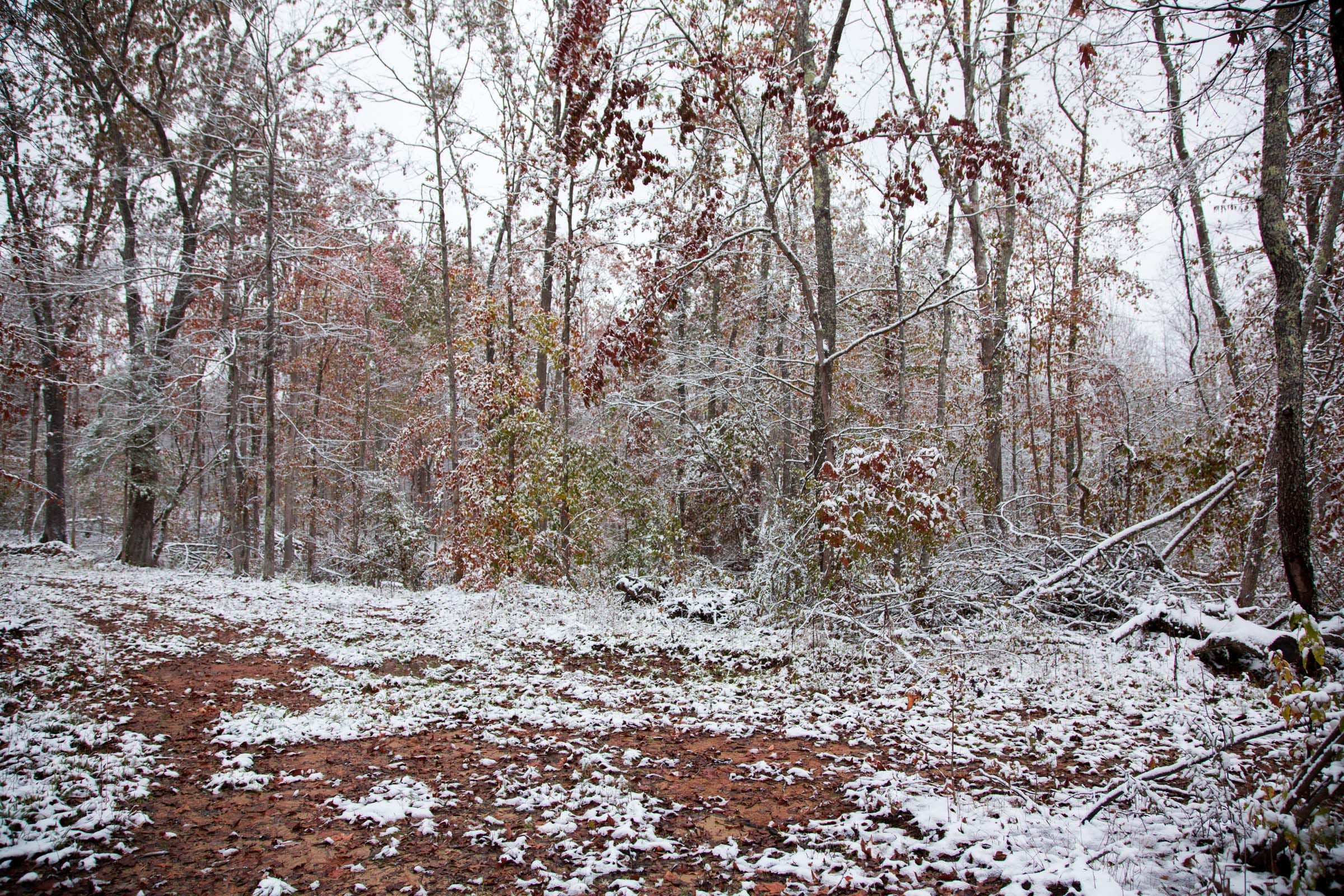 Sweet Water Ranch Tract 13 photo 7
