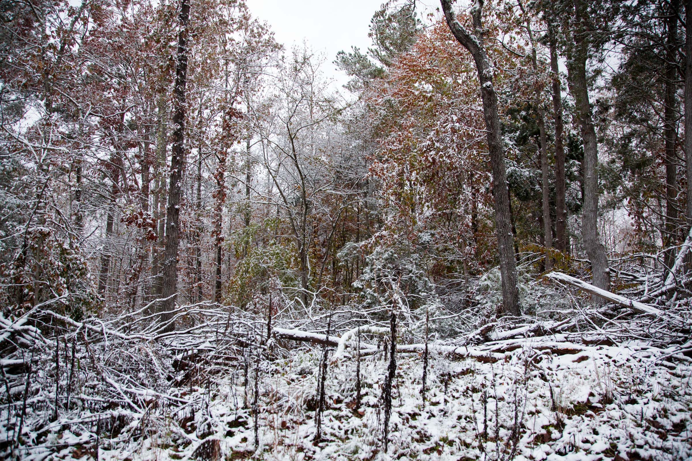 Sweet Water Ranch Tract 13 photo 8