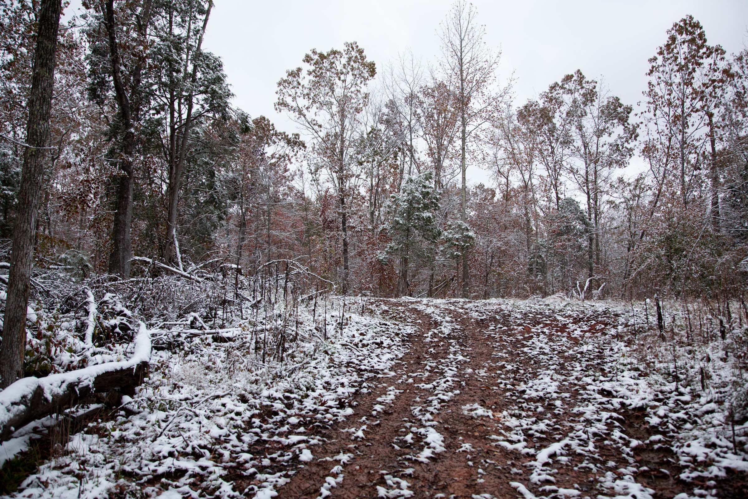 Sweet Water Ranch Tract 13 photo 9