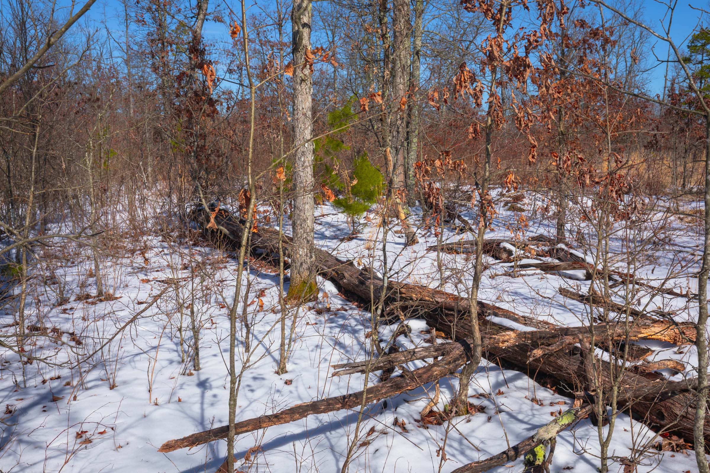 Sleepy Hollow Phase I Tract 40 photo 9